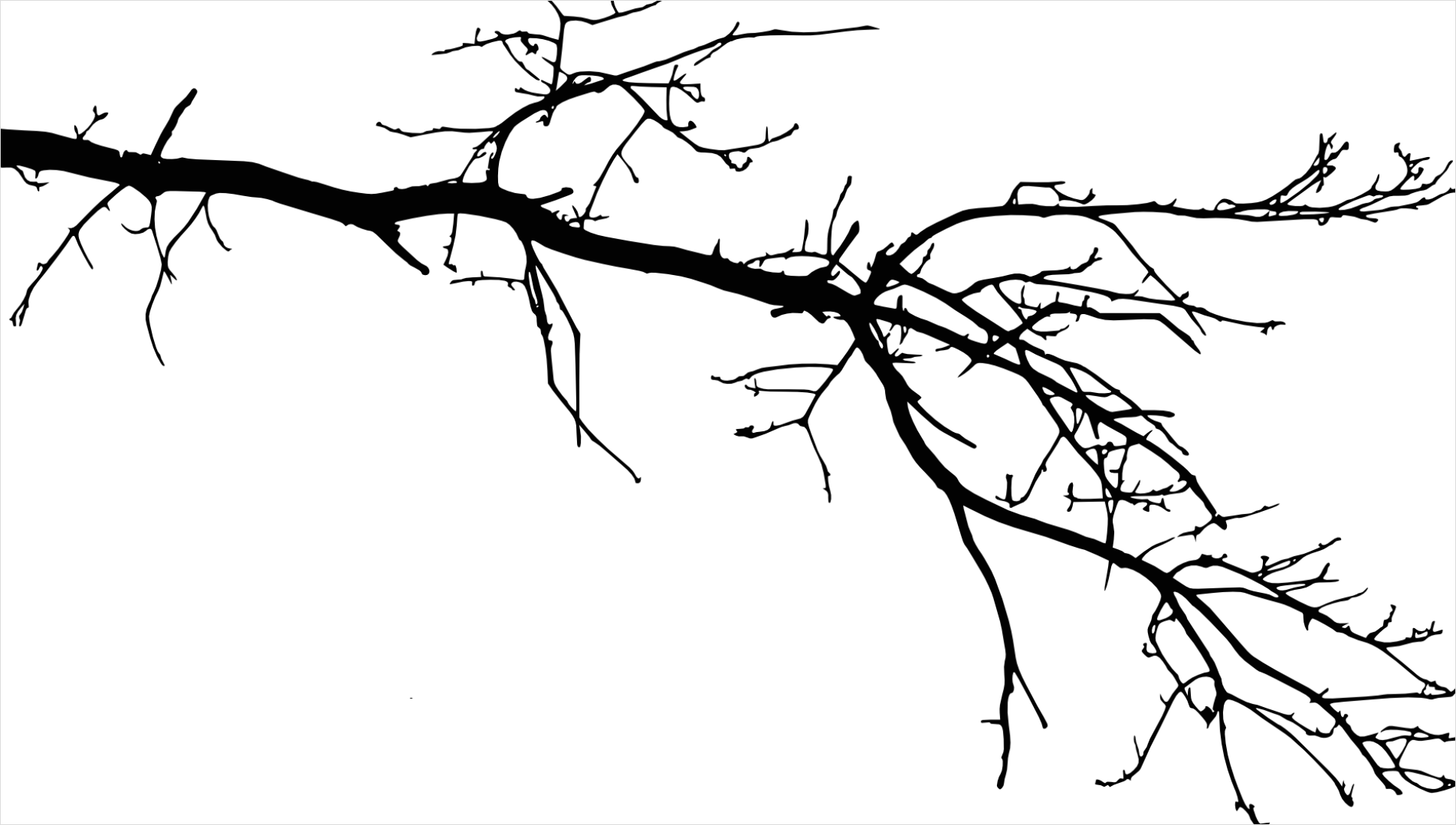 Detail Branch Silhouette Transparent Png Number 6