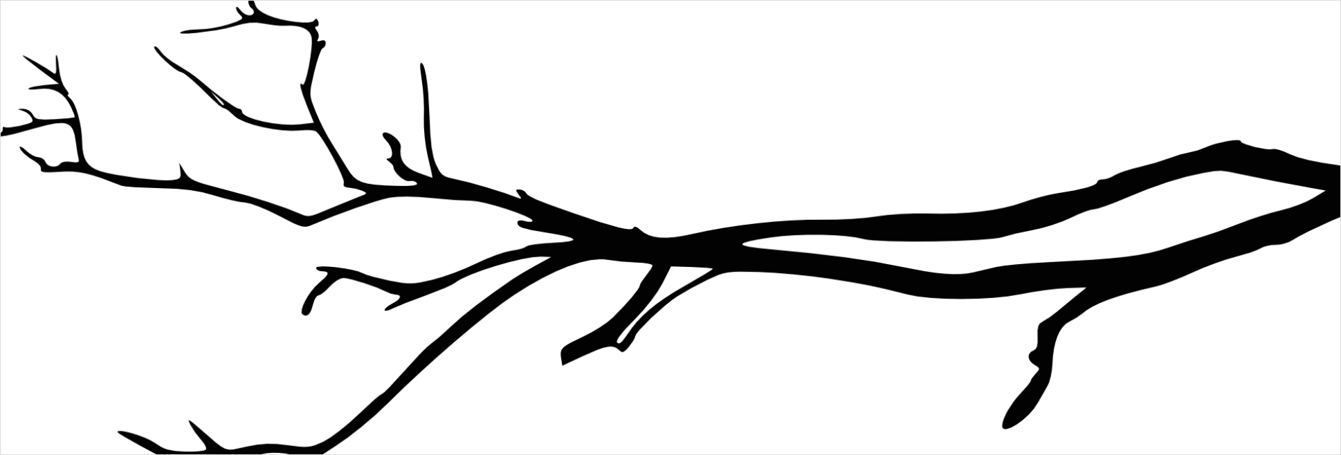 Detail Branch Silhouette Transparent Png Number 8