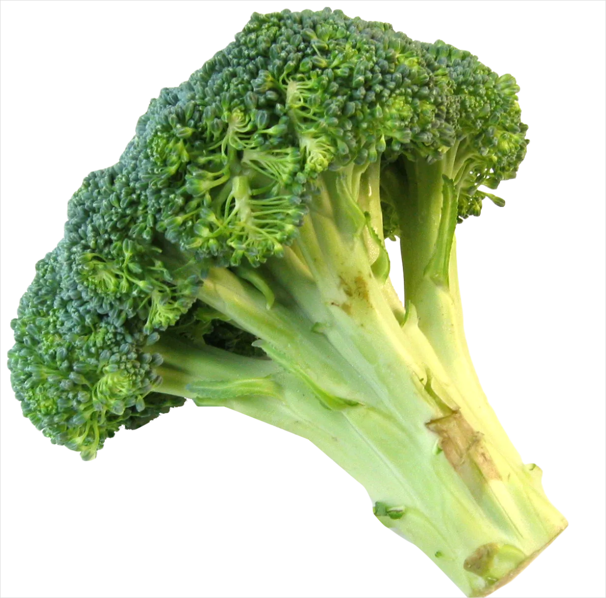 Detail Broccoli Transparent Png Number 3