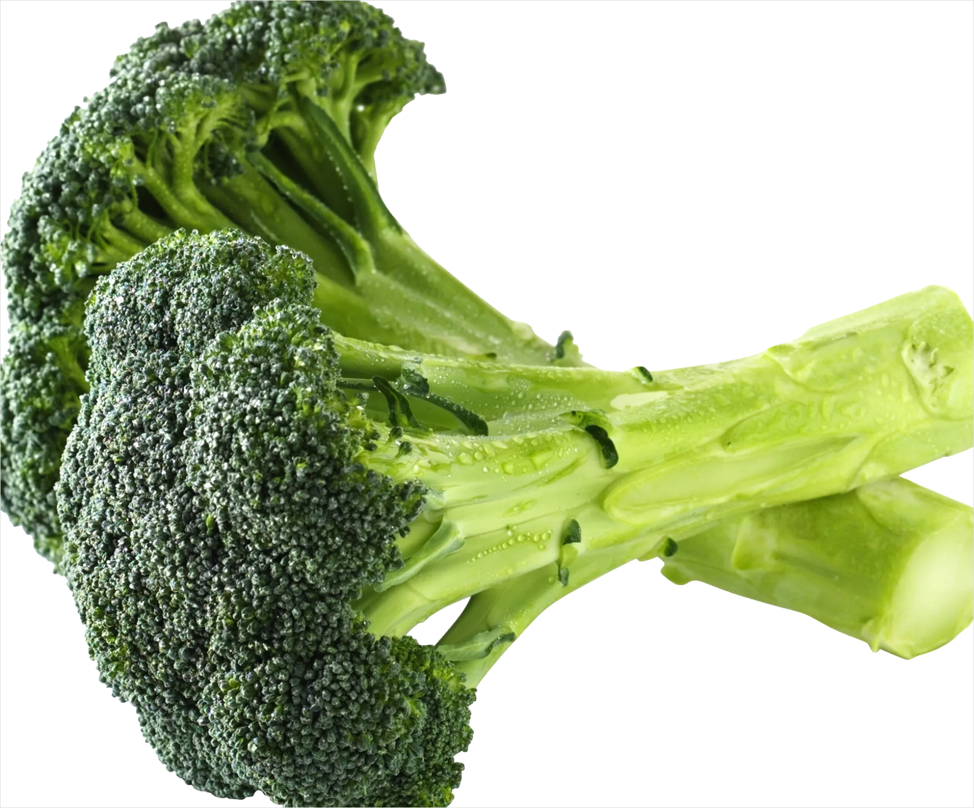Detail Broccoli Transparent Png Number 7