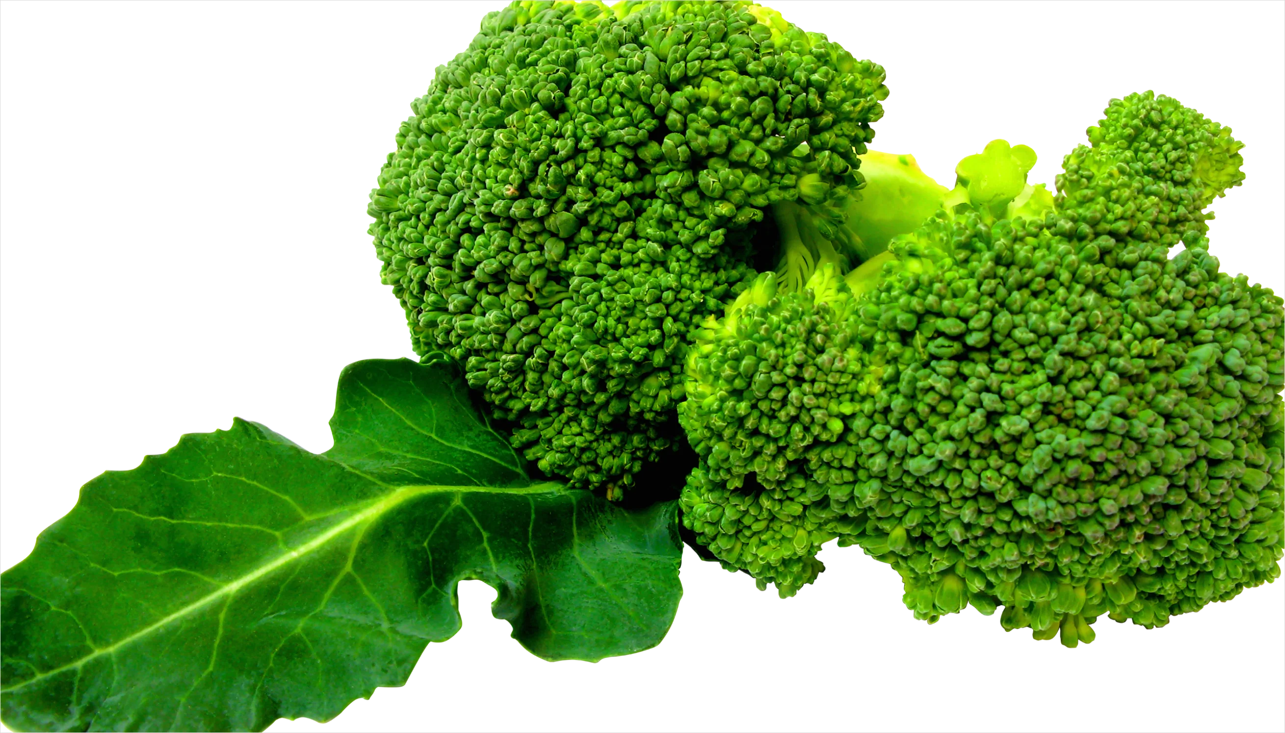 Detail Broccoli Transparent Png Number 10