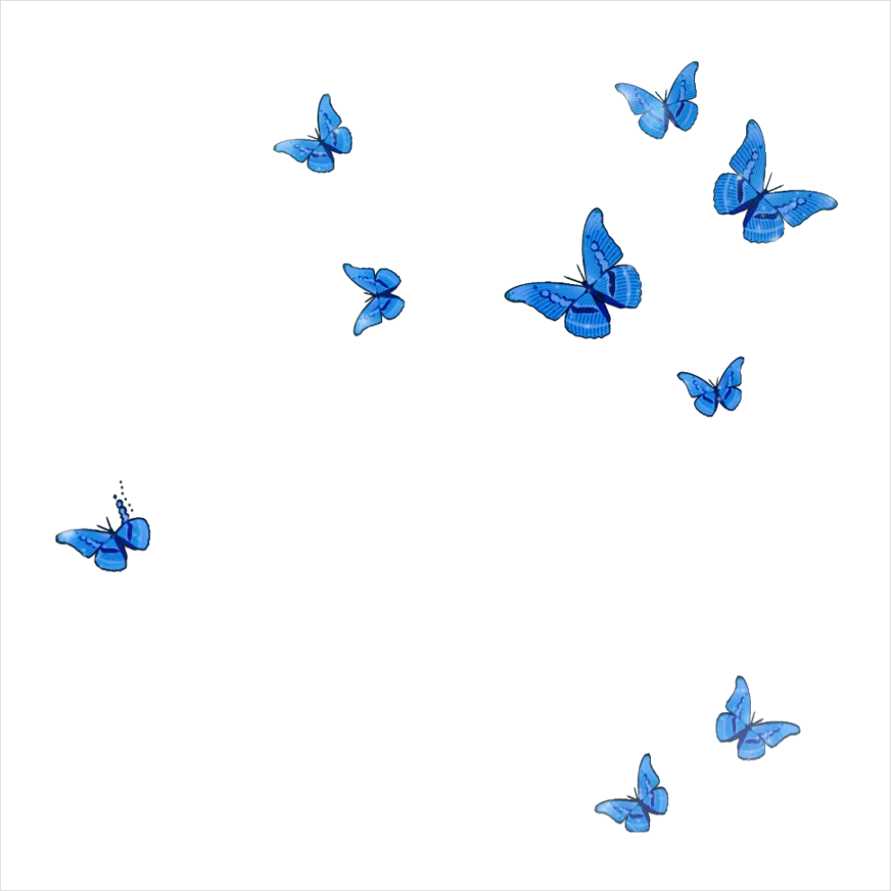 Detail Butterfly Transparent Png Number 12