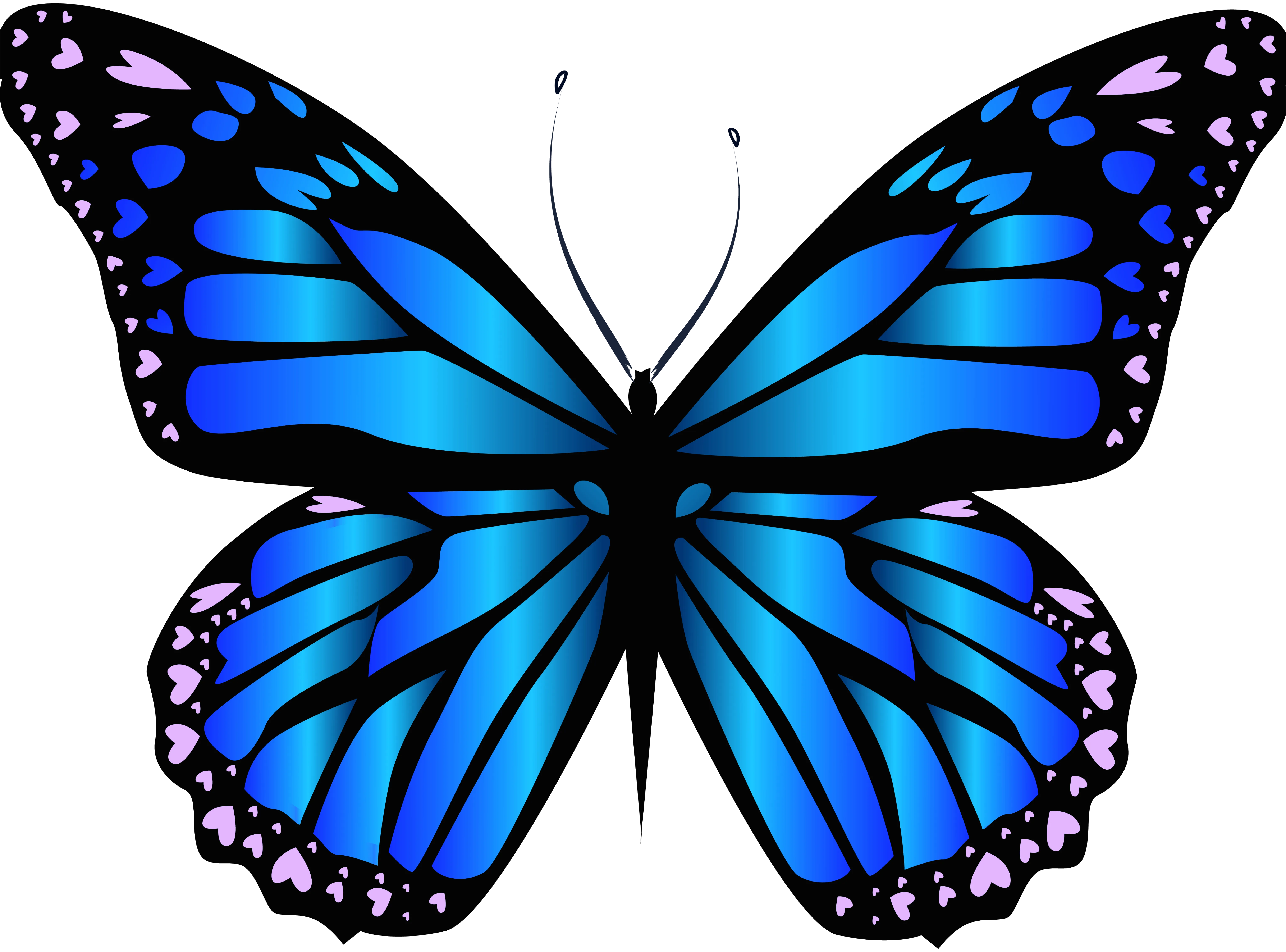 Detail Butterfly Transparent Png Number 15