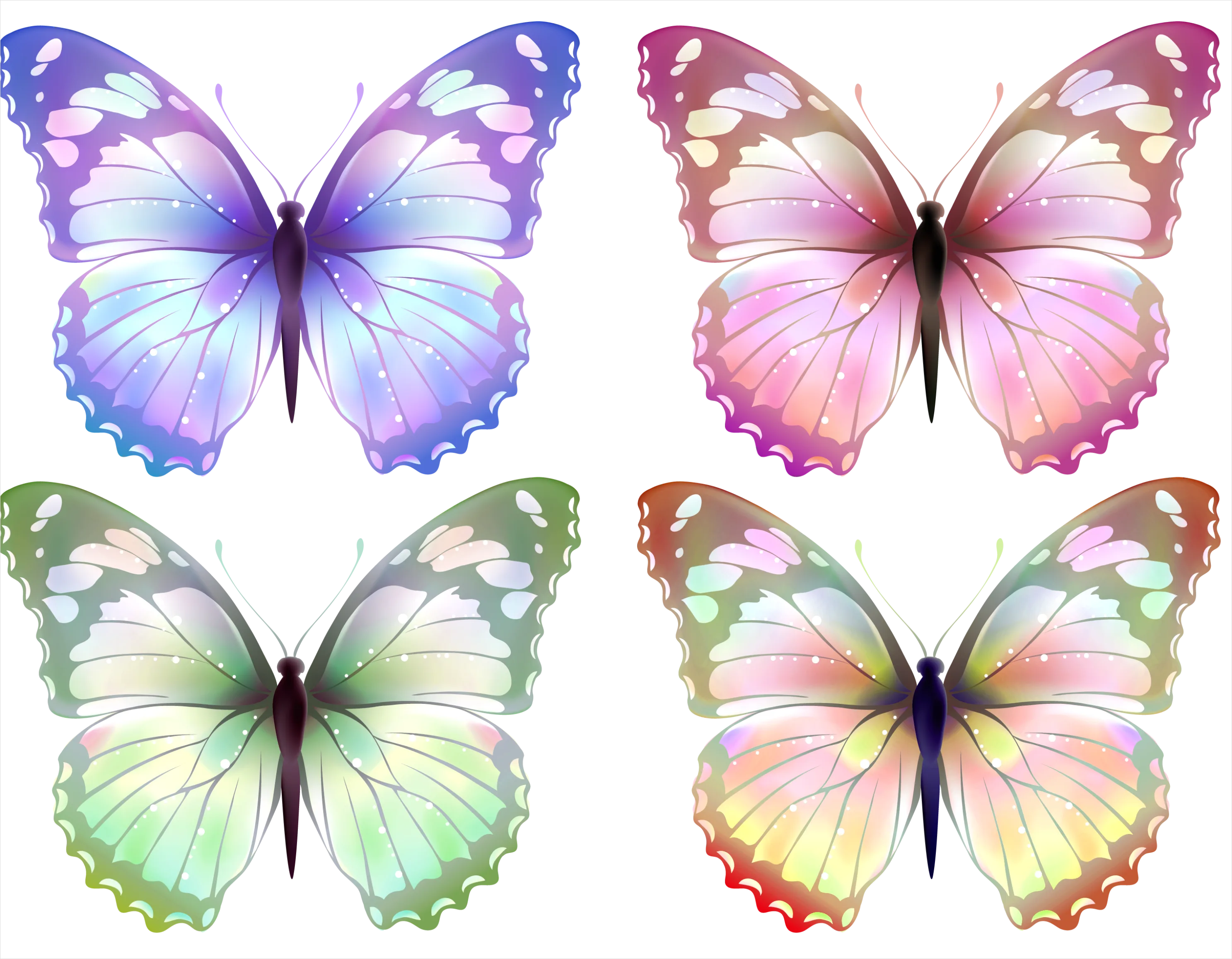 Detail Butterfly Transparent Png Number 20