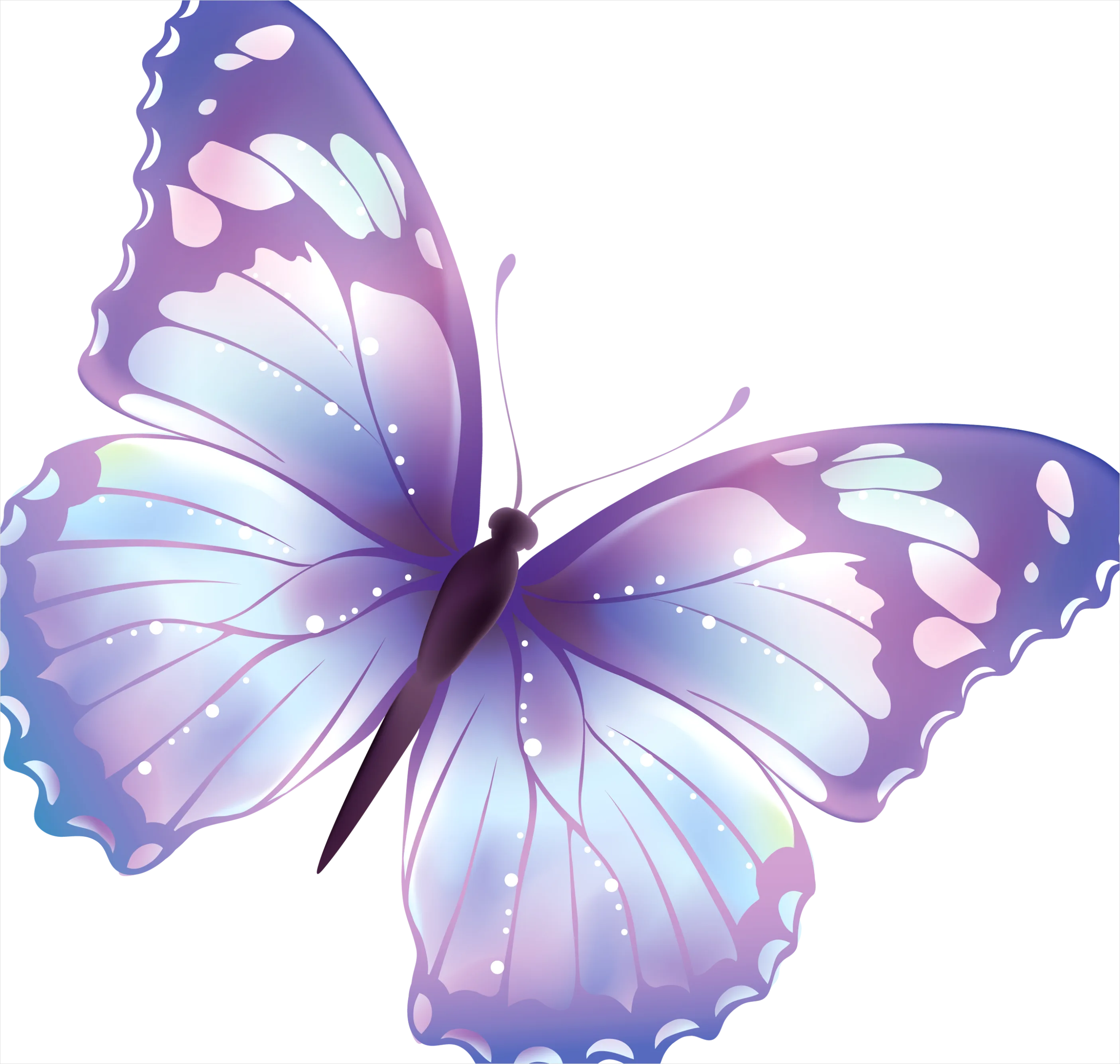 Detail Butterfly Transparent Png Number 3