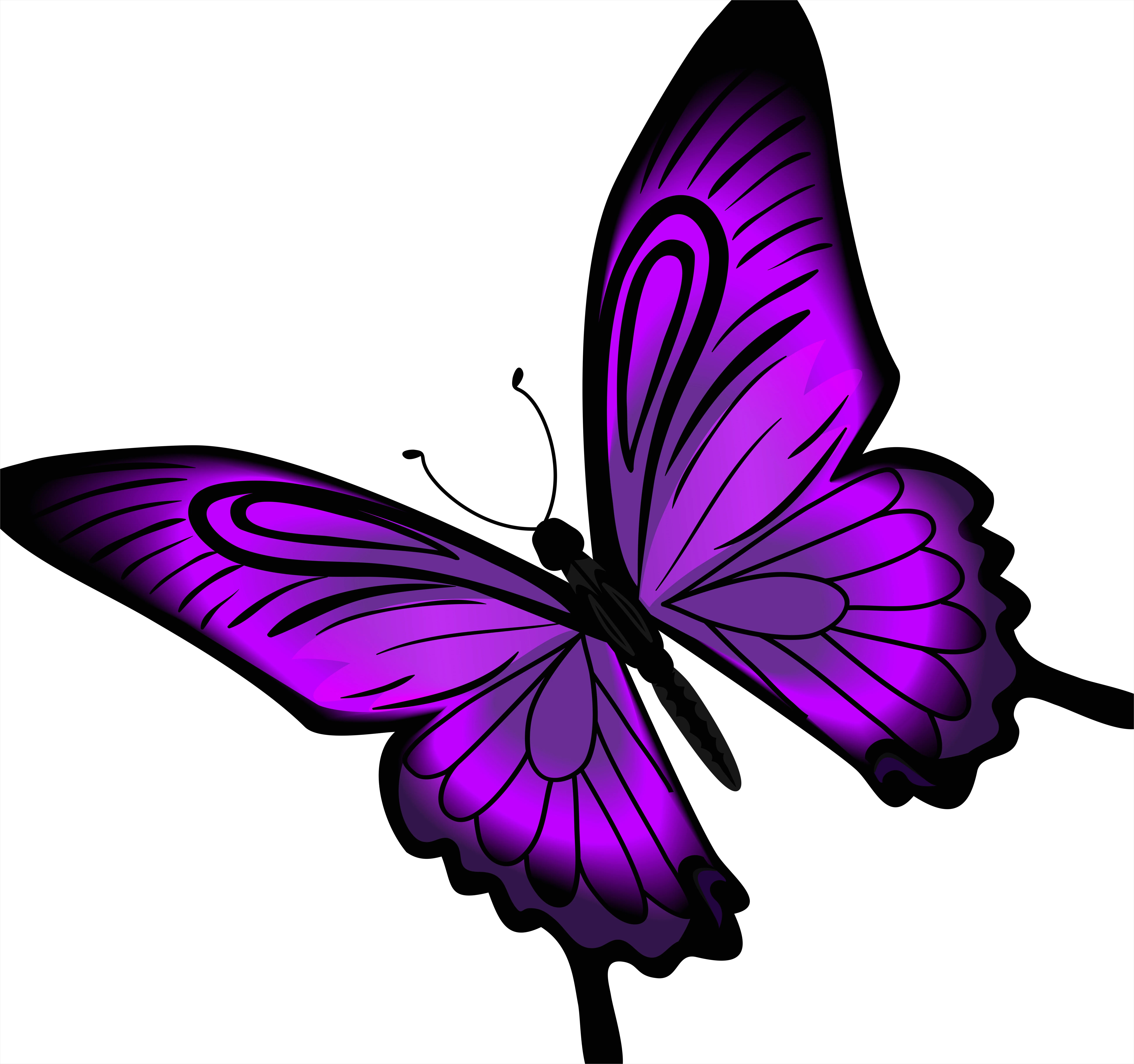 Detail Butterfly Transparent Png Clipart Number 10