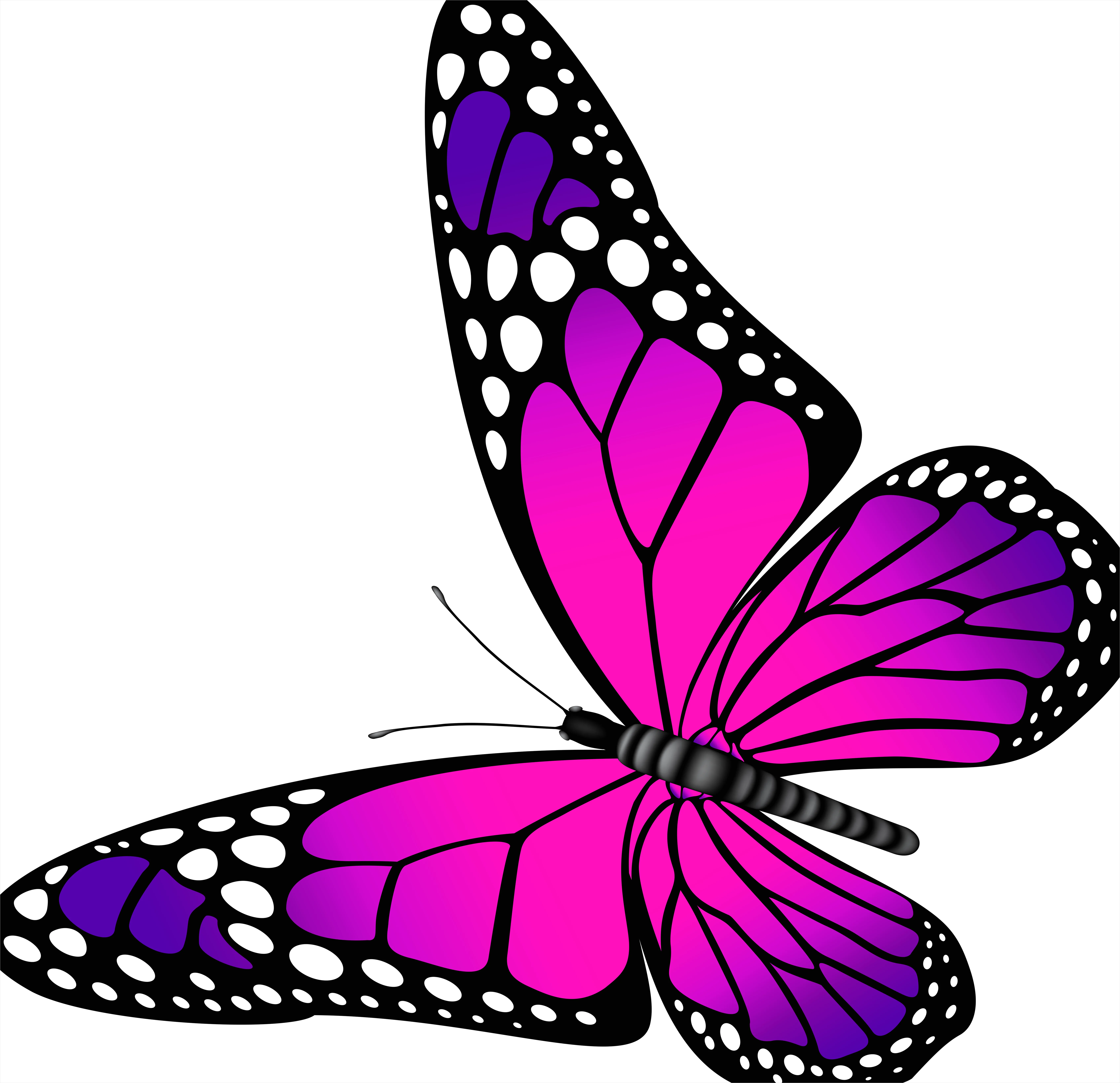 Detail Butterfly Transparent Png Clipart Number 11
