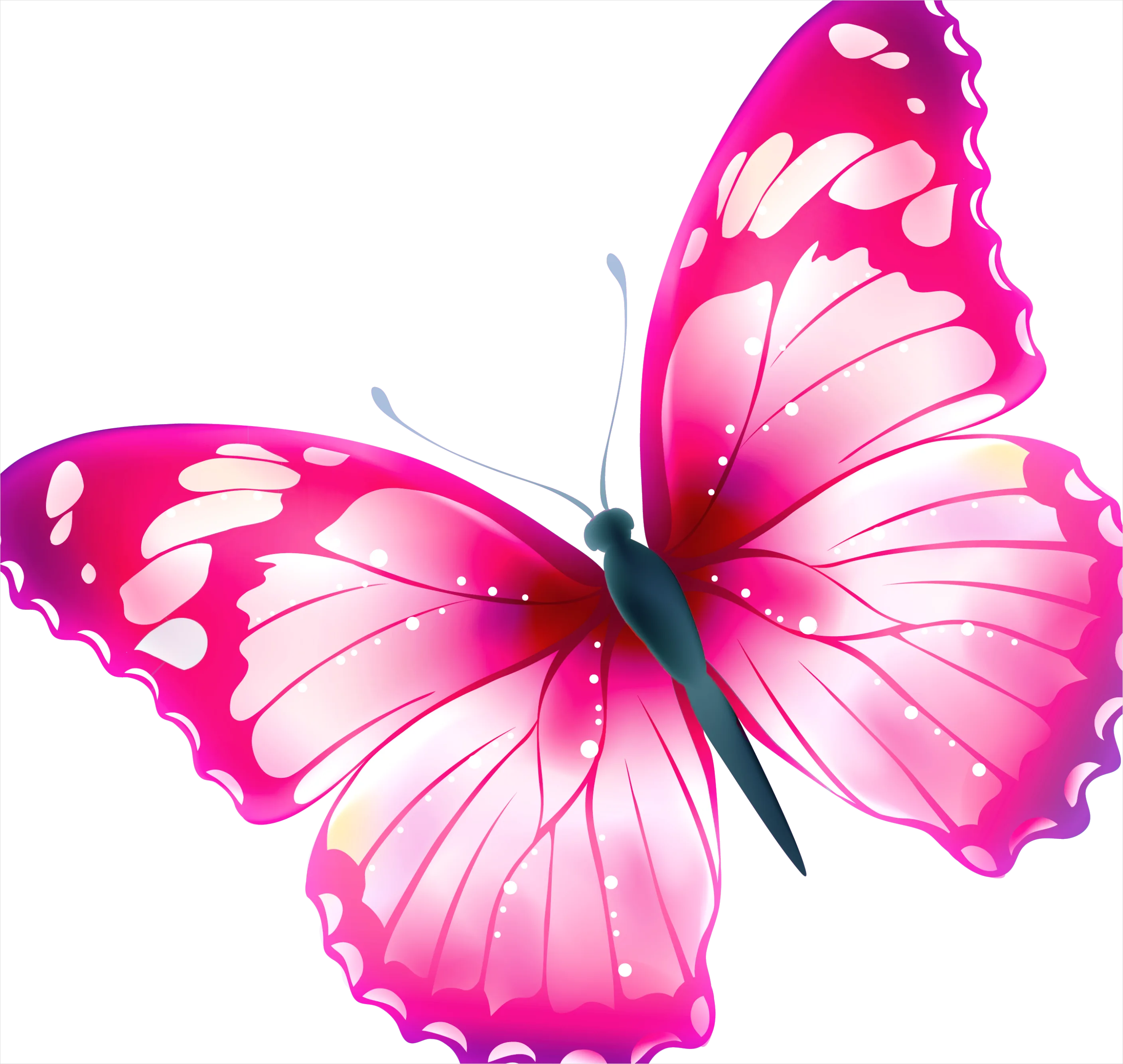 Detail Butterfly Transparent Png Clipart Number 12