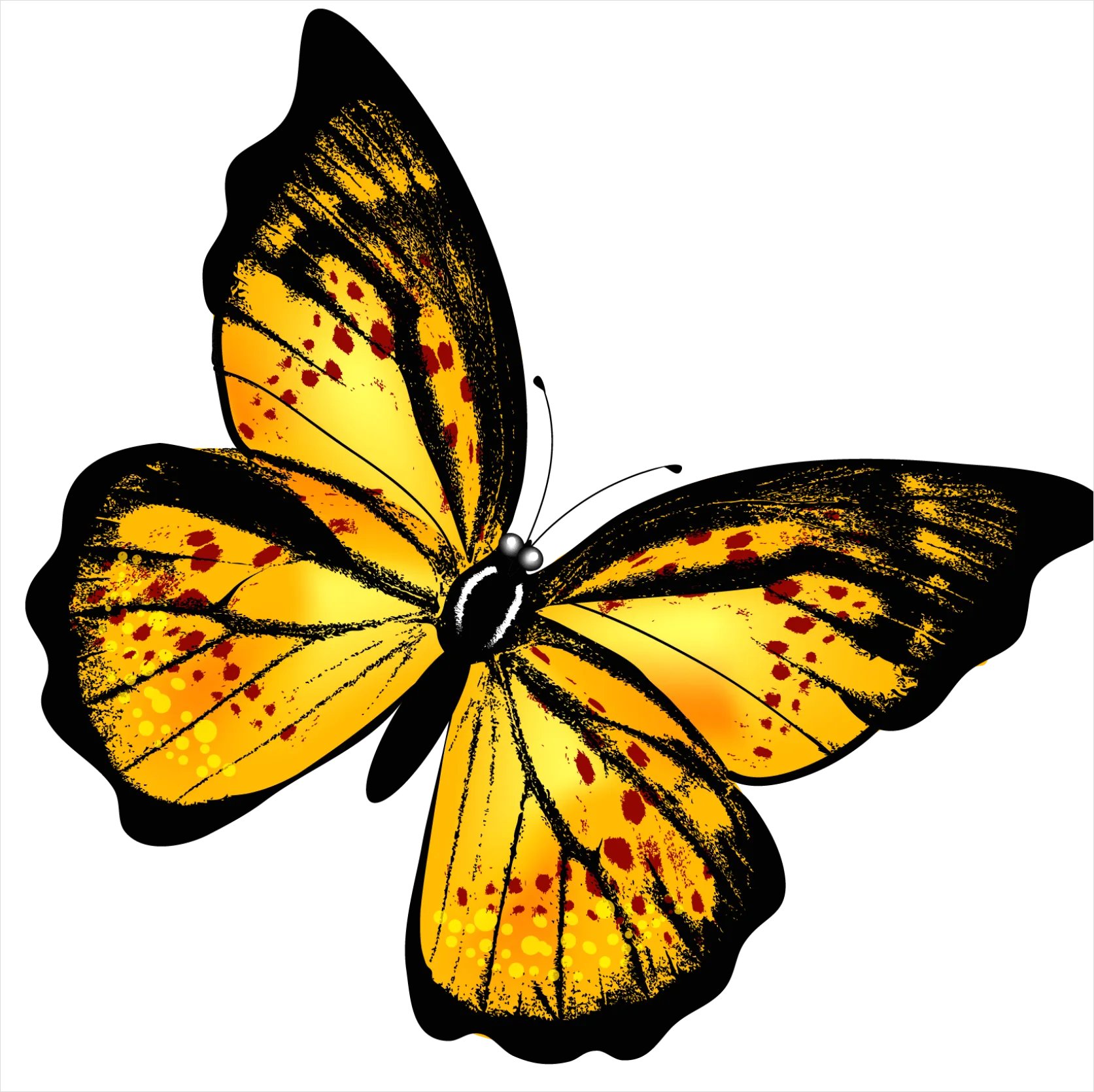 Detail Butterfly Transparent Png Clipart Number 13