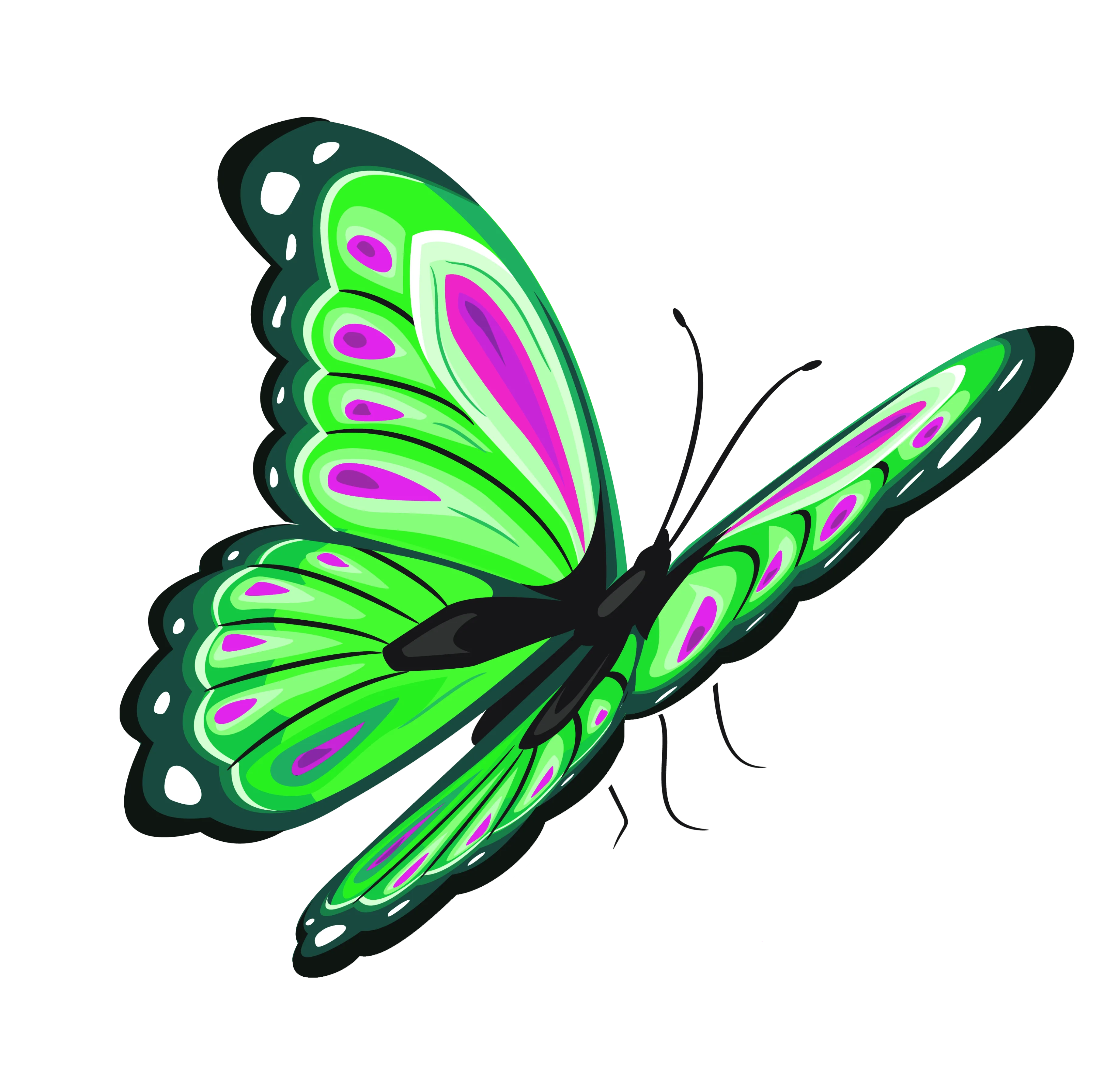Detail Butterfly Transparent Png Clipart Number 15