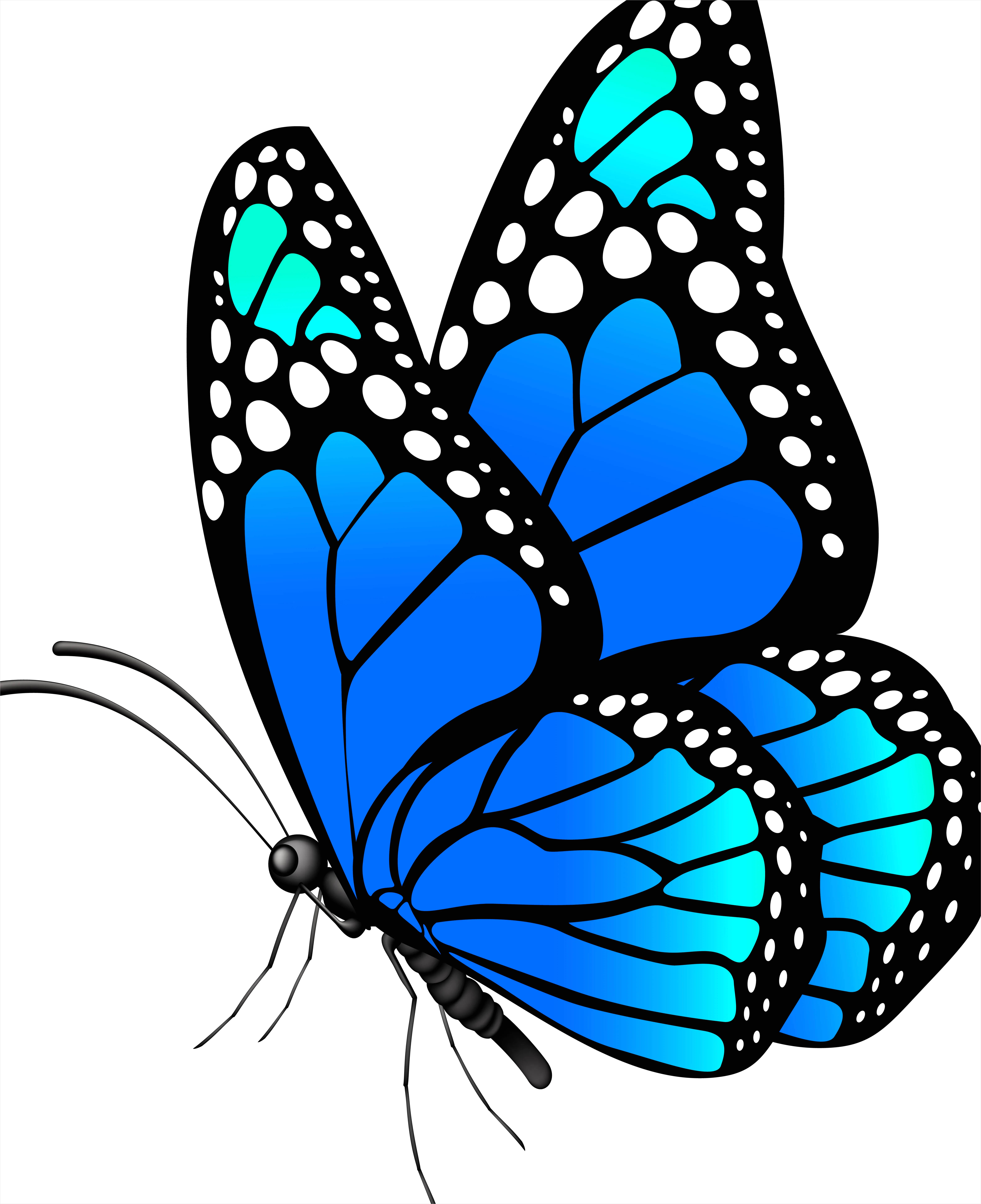 Detail Butterfly Transparent Png Clipart Number 3