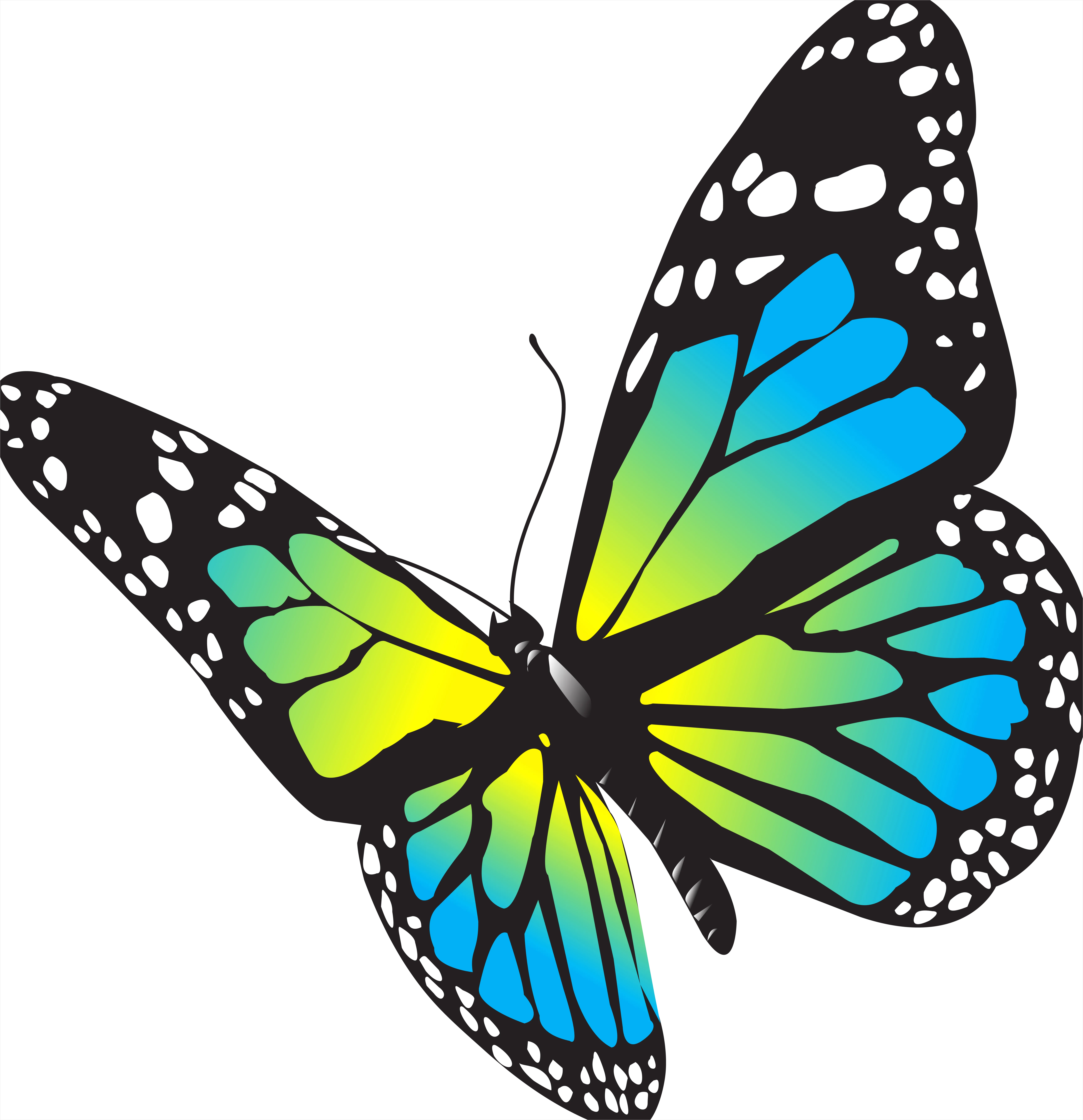 Detail Butterfly Transparent Png Clipart Number 5
