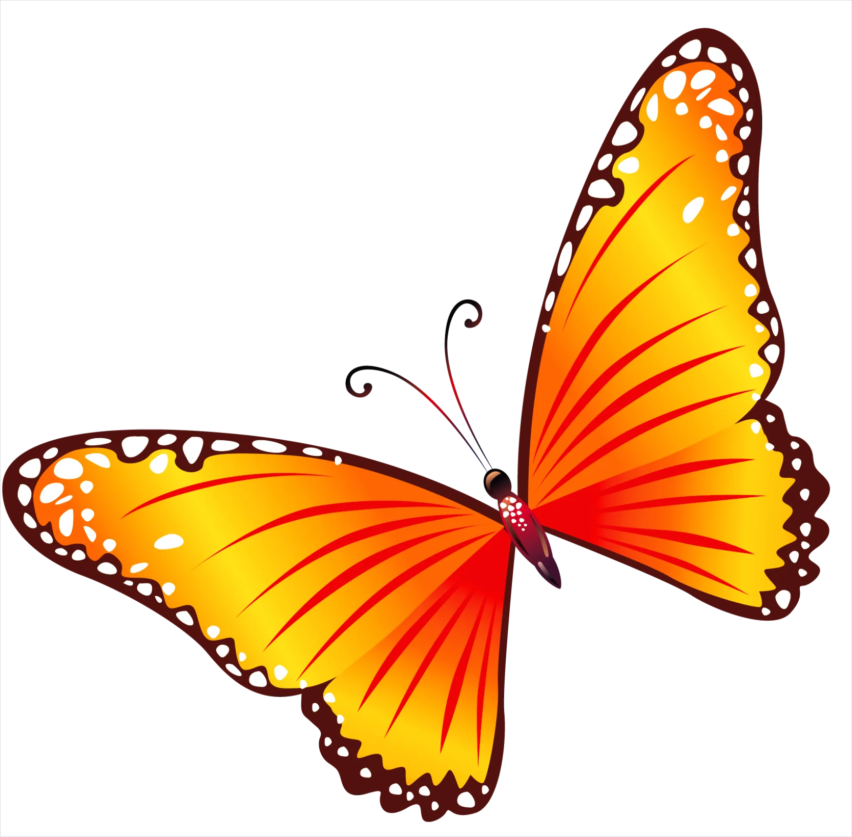 Detail Butterfly Transparent Png Clipart Number 6