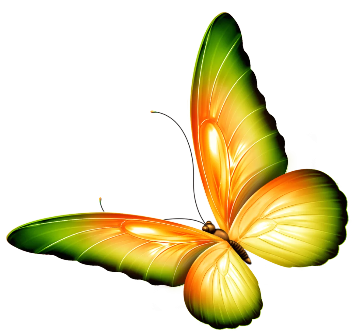 Detail Butterfly Transparent Png Clipart Number 8