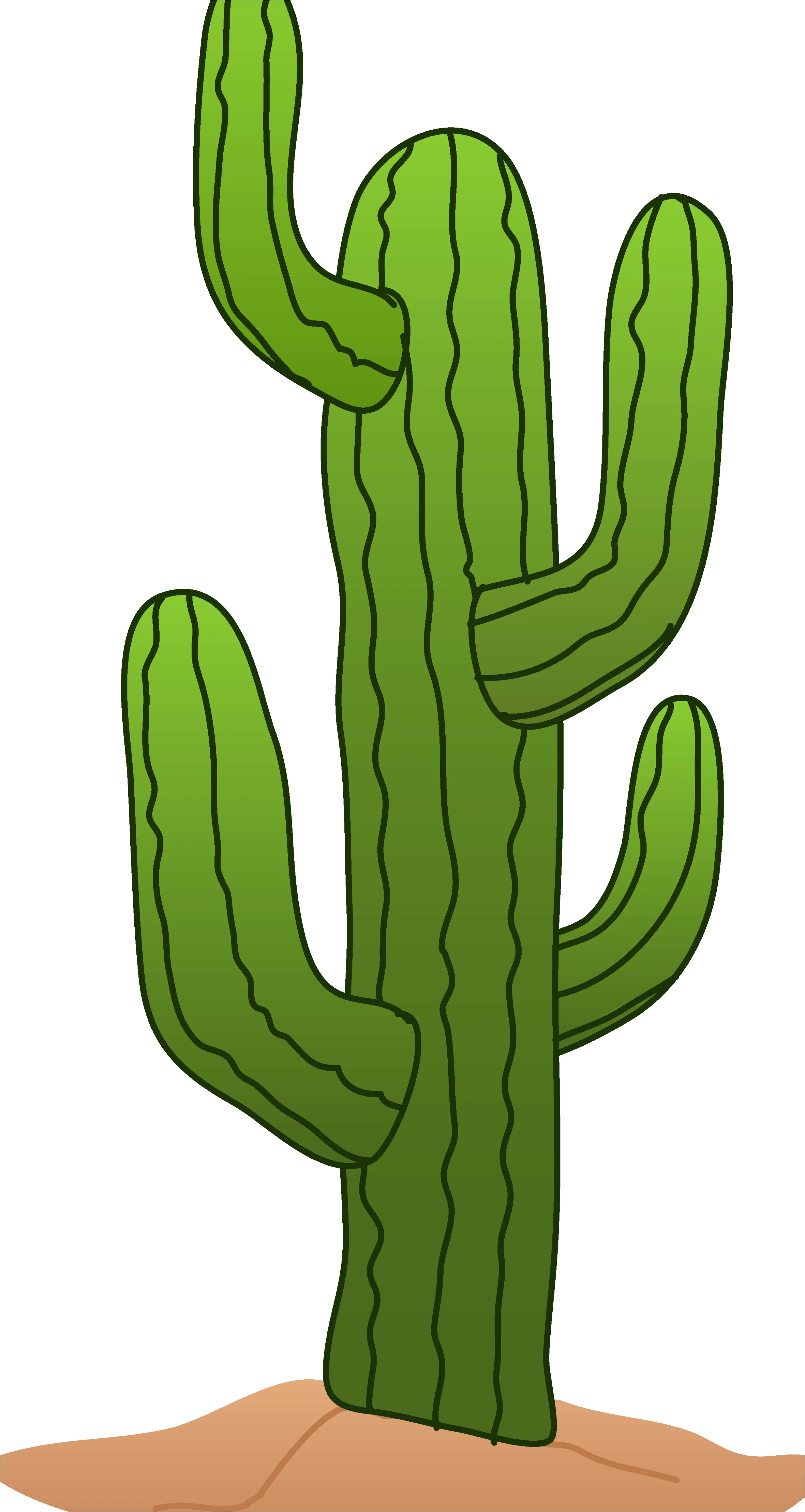 Detail Cactus Transparent Png Number 11