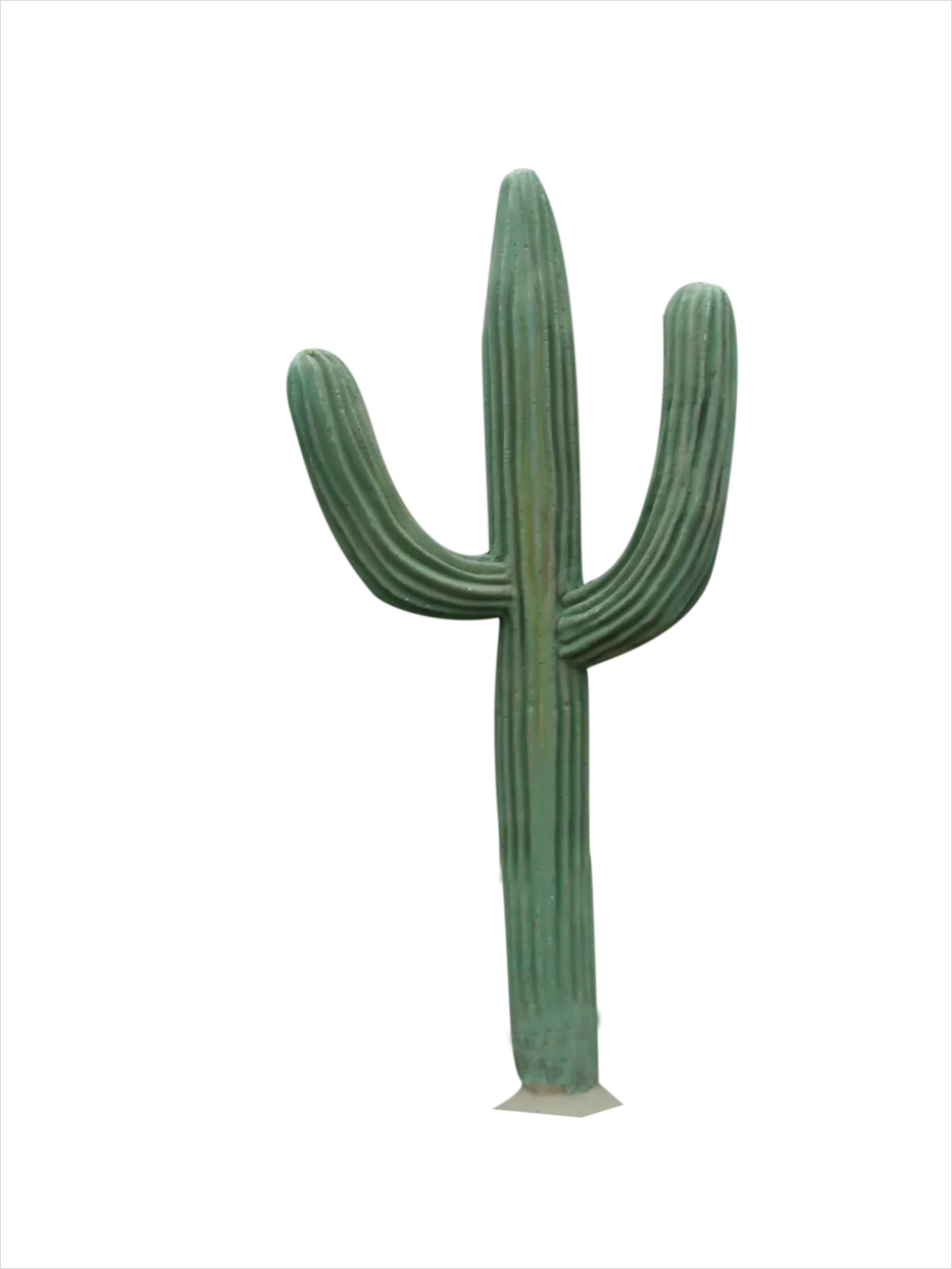 Detail Cactus Transparent Png Number 8