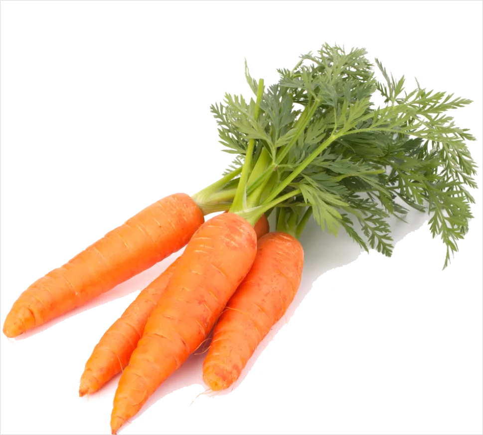 Carrot Transparent Png B0d5