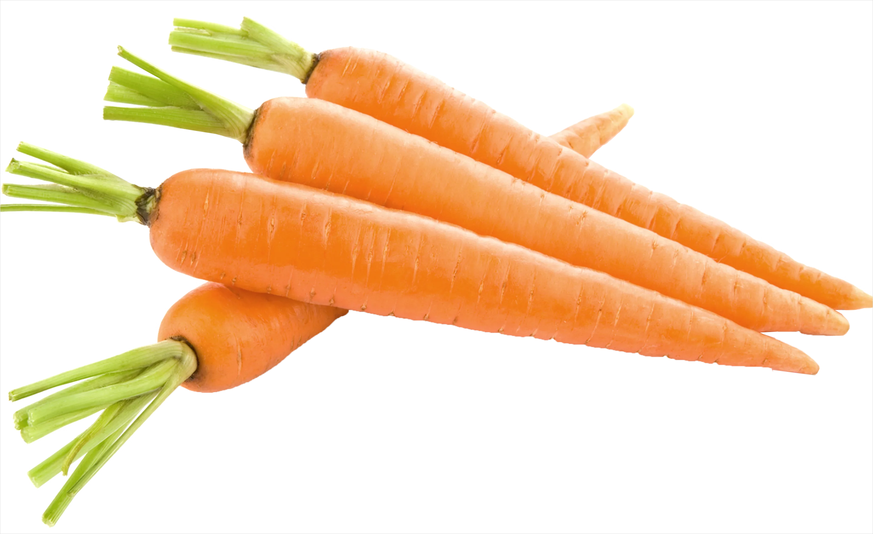 Detail Carrot Transparent Png Number 3