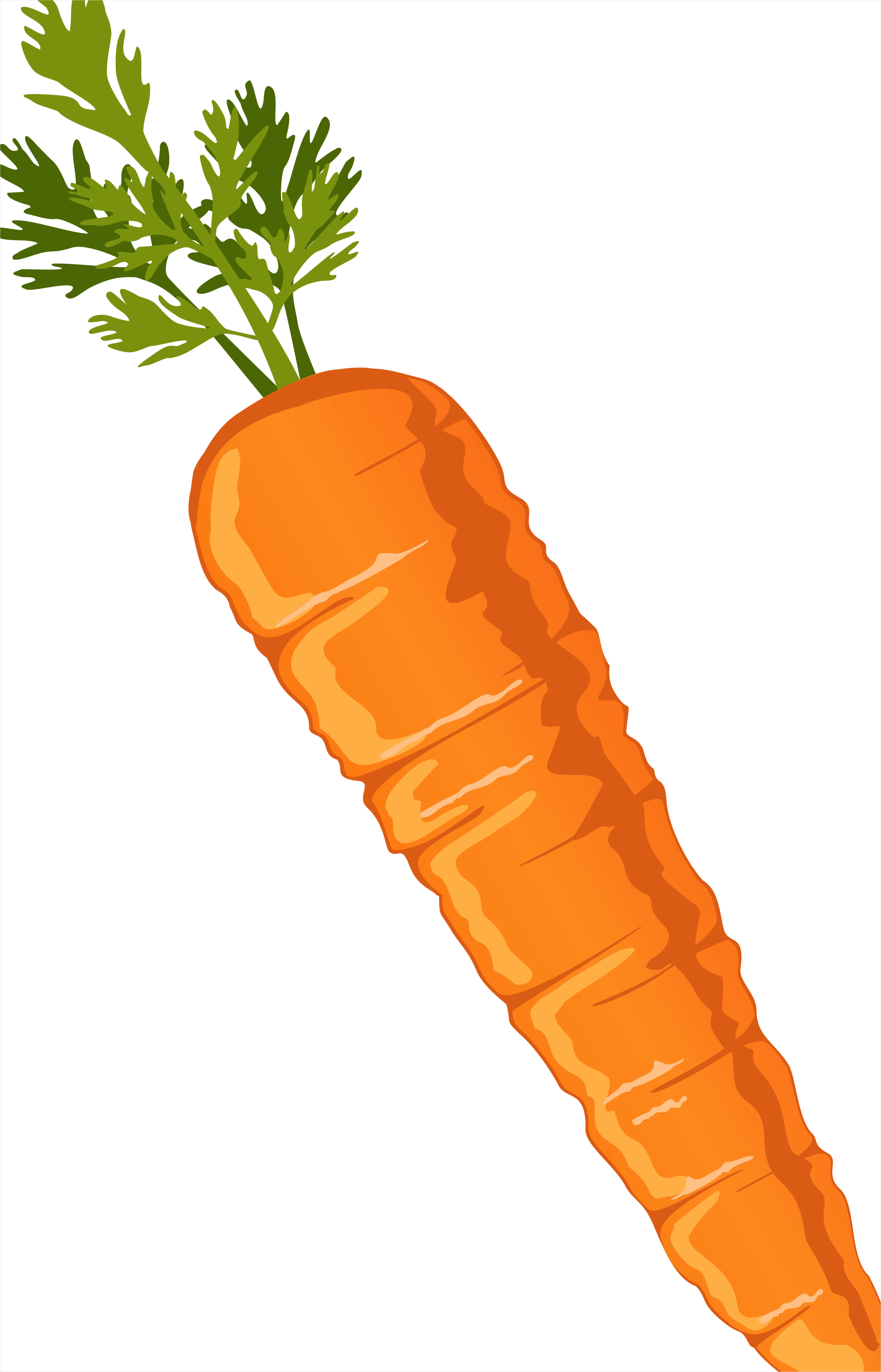 Detail Carrot Transparent Png Number 4
