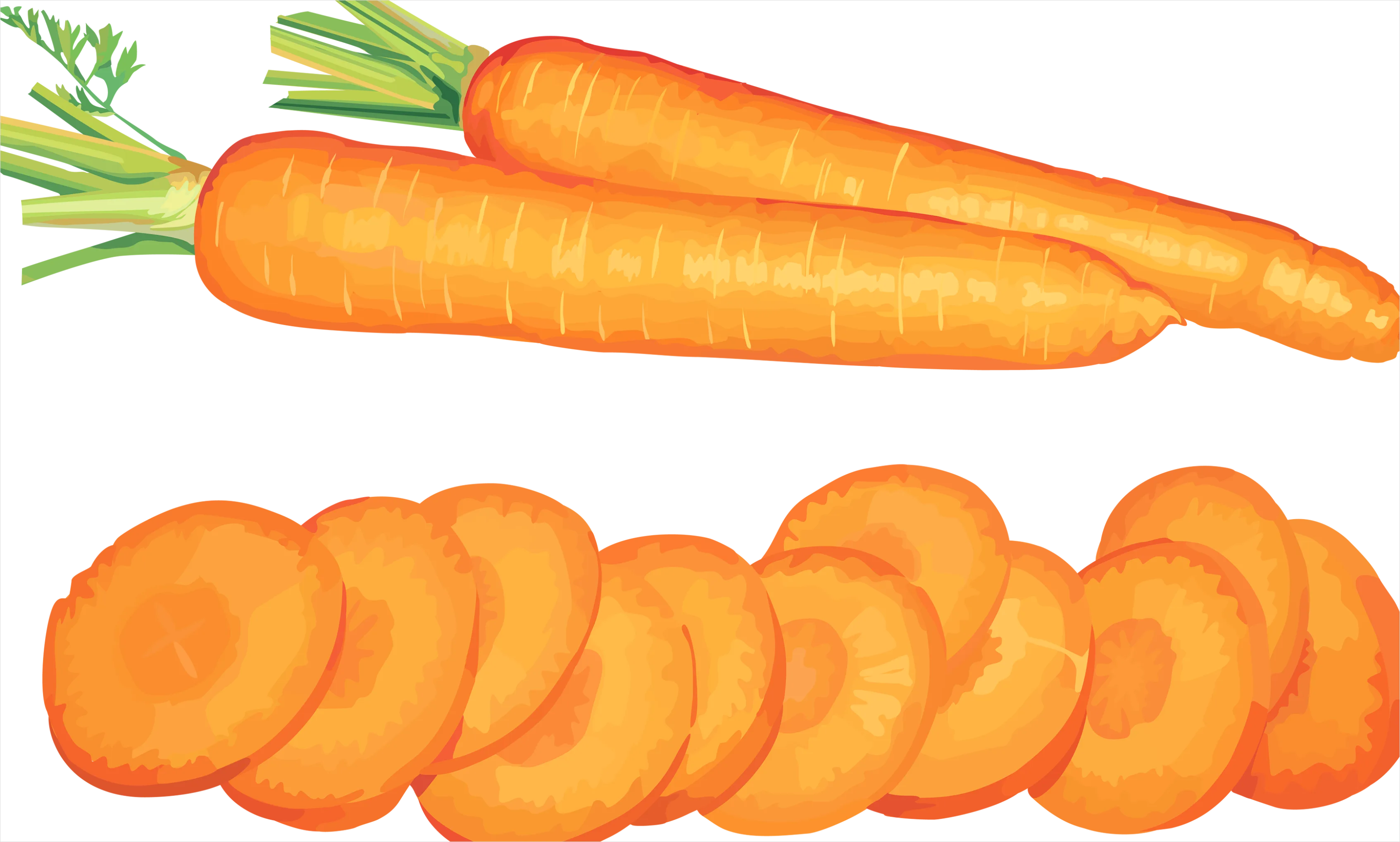 Detail Carrot Transparent Png Number 7