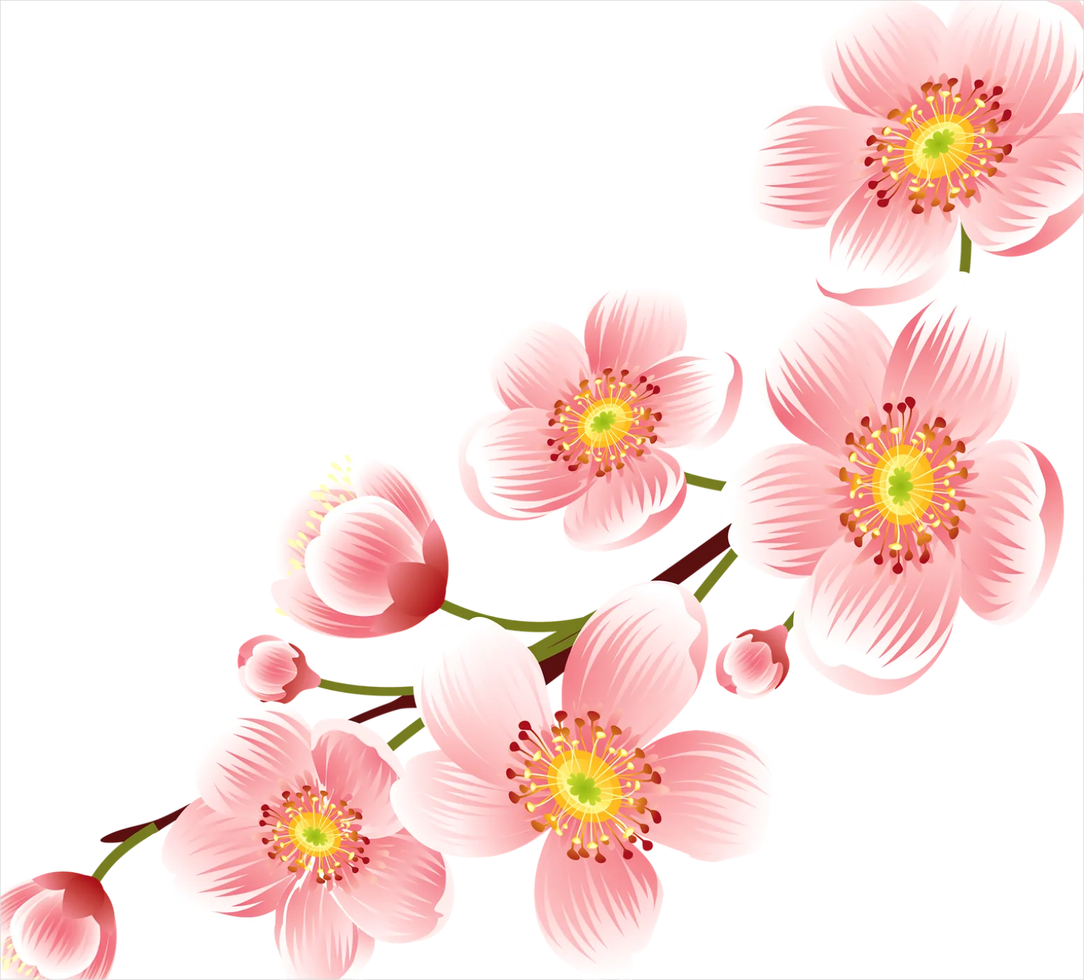 Detail Cherry Blossom Transparent Png Number 5