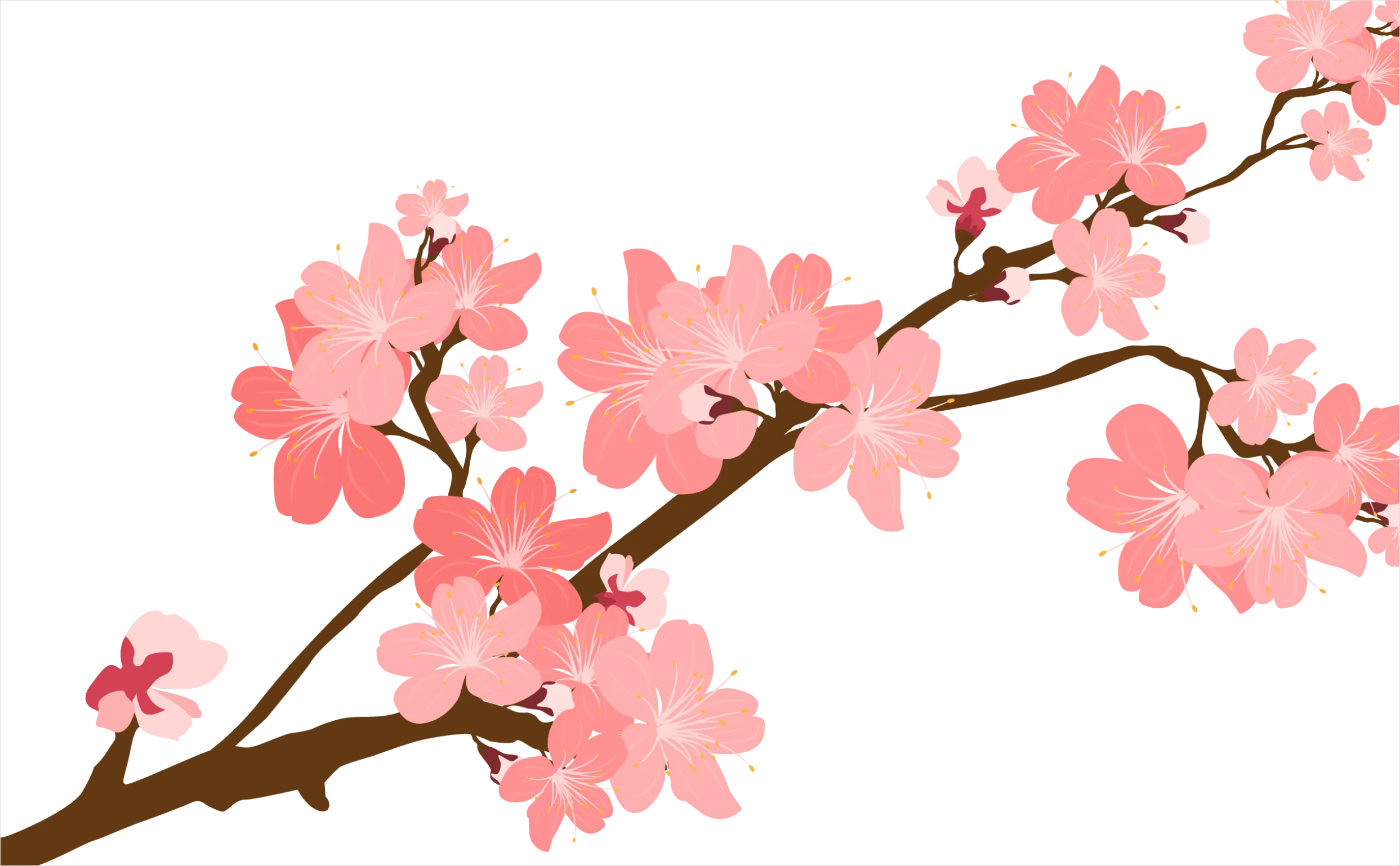 Detail Cherry Blossom Transparent Png Number 6