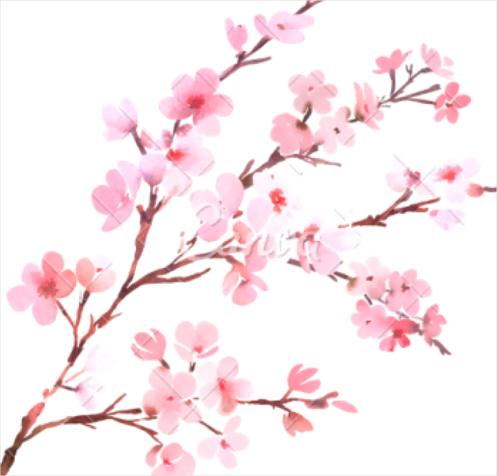 Detail Cherry Blossom Transparent Png Number 7