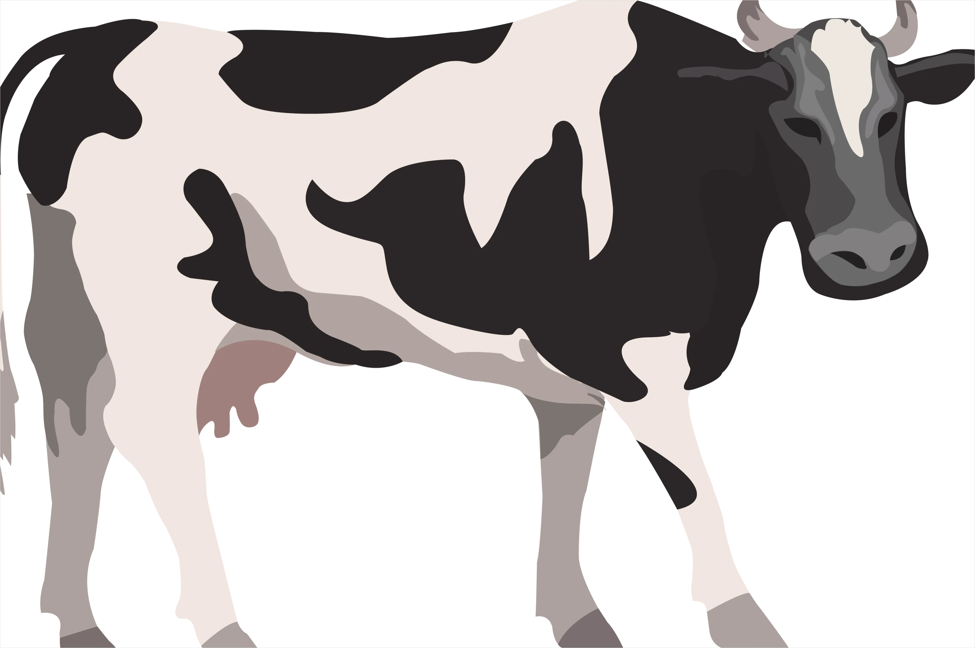 Detail Cow Print Transparent Png Number 8