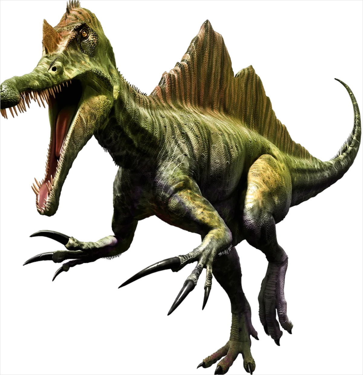 Detail Dinosaur Transparent Png Clipart Number 19