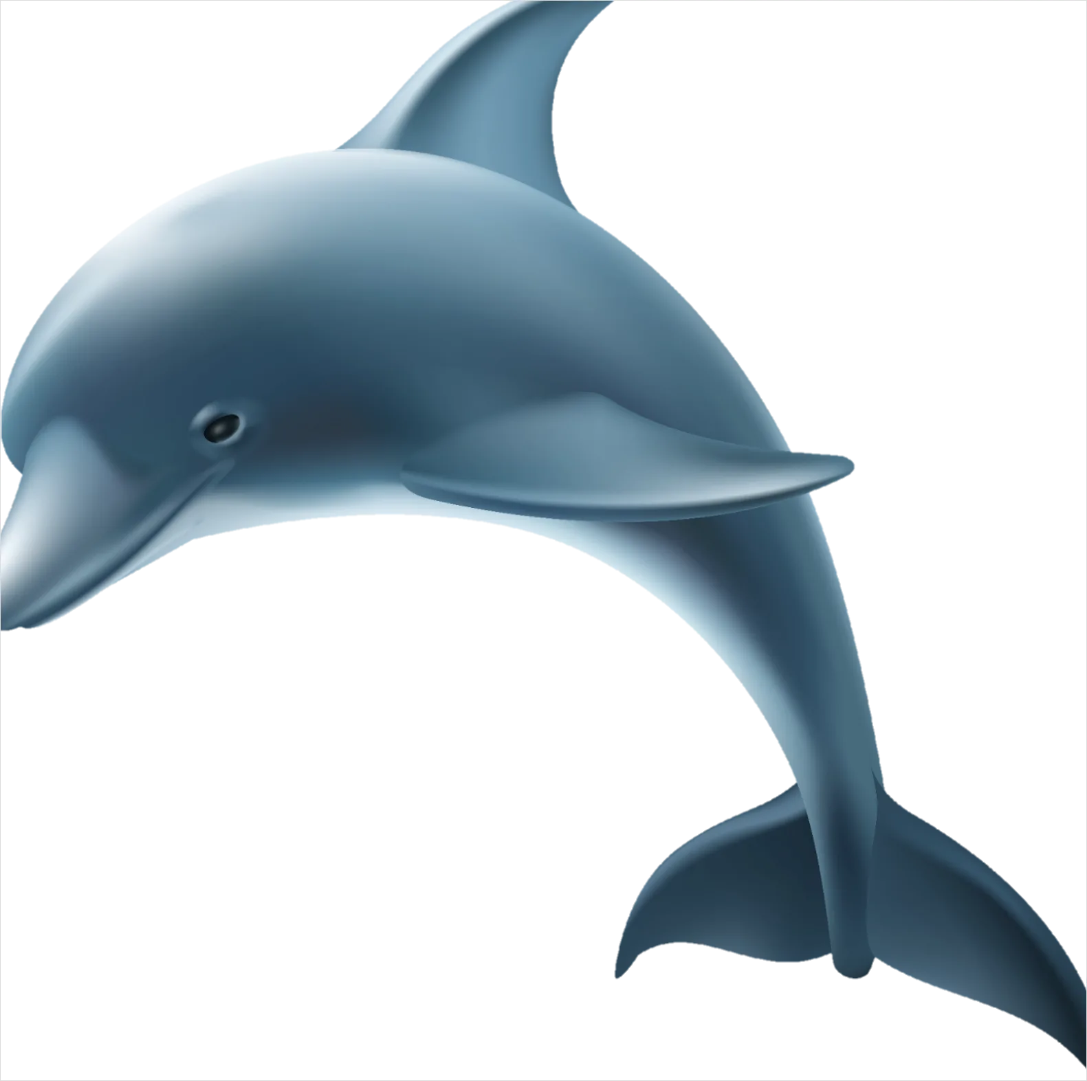 Detail Dolphin Transparent Png Clipart Number 3