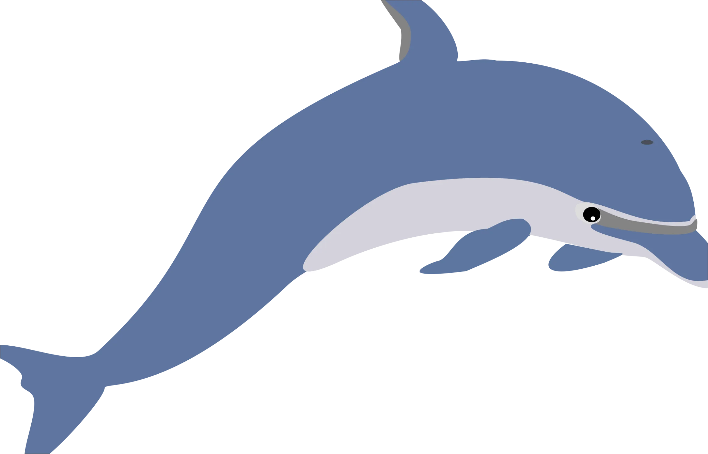 Detail Dolphin Transparent Png Clipart Number 4