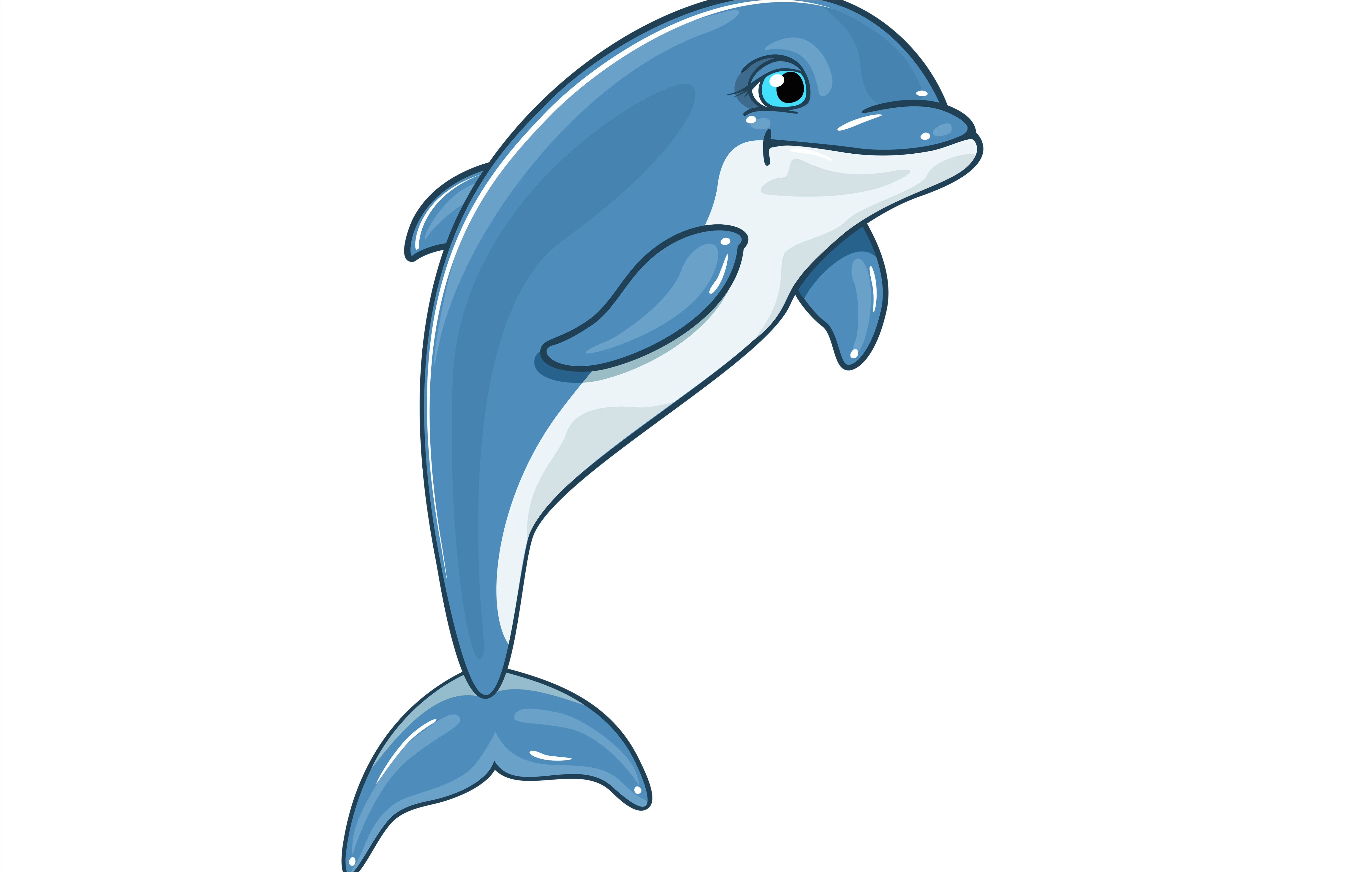 Detail Dolphin Transparent Png Clipart Number 5