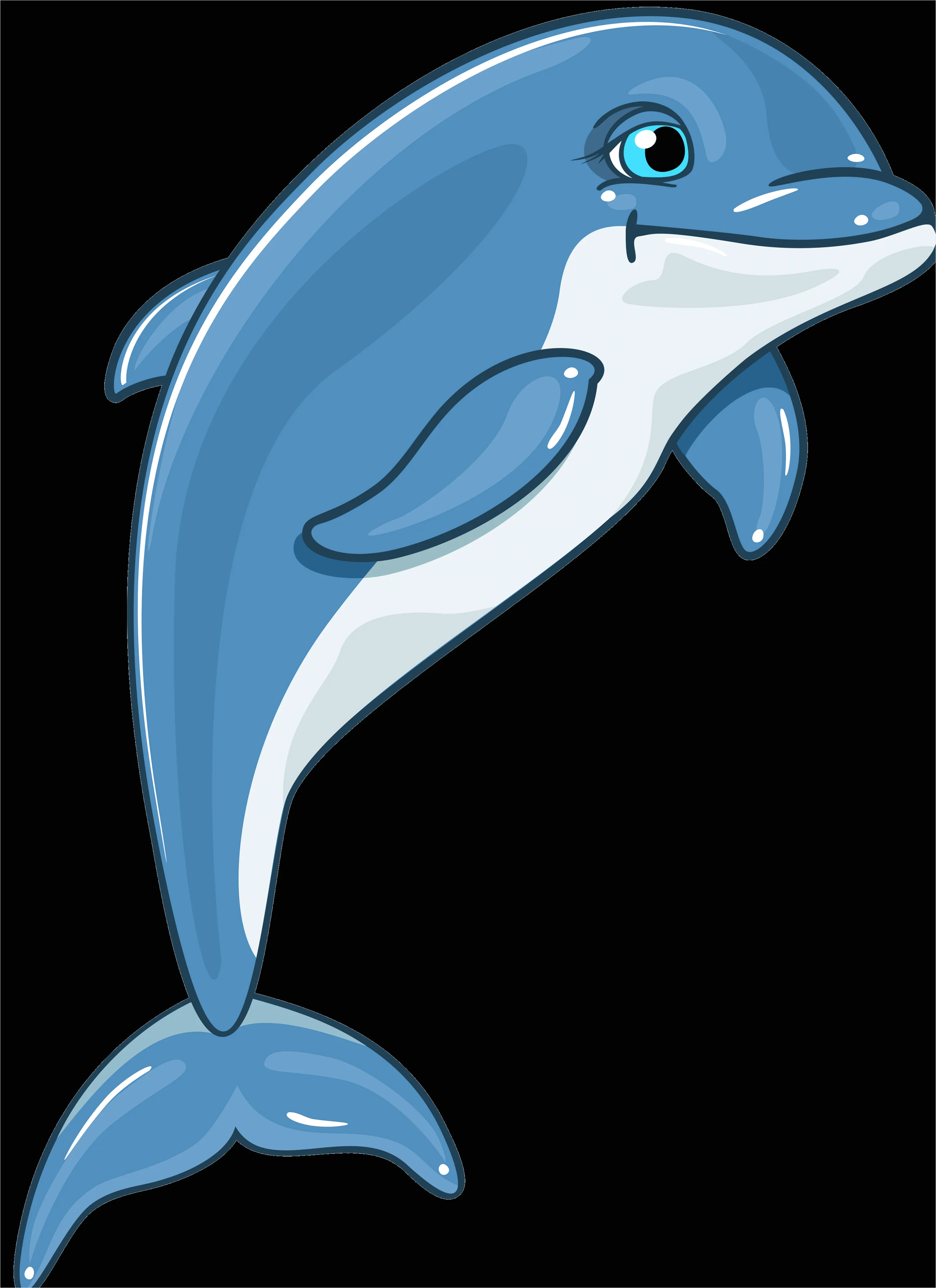 Detail Dolphin Transparent Png Clipart Number 7