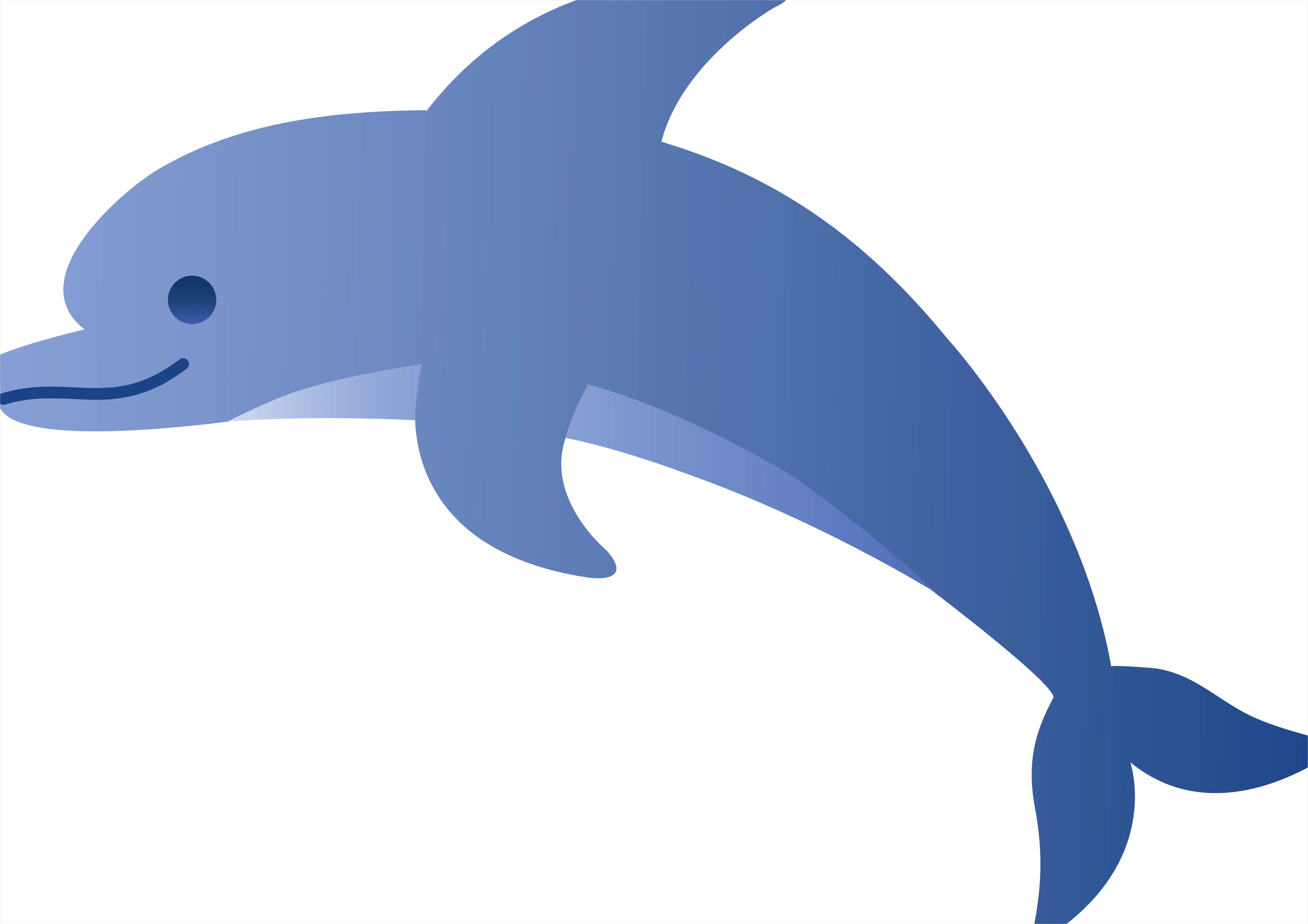Detail Dolphin Transparent Png Clipart Number 9