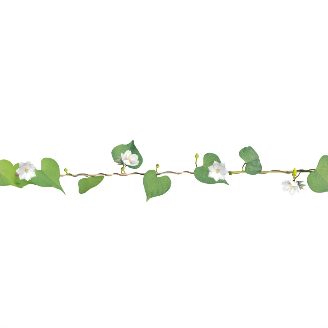 Detail Dotted Divider Transparent Png Number 12