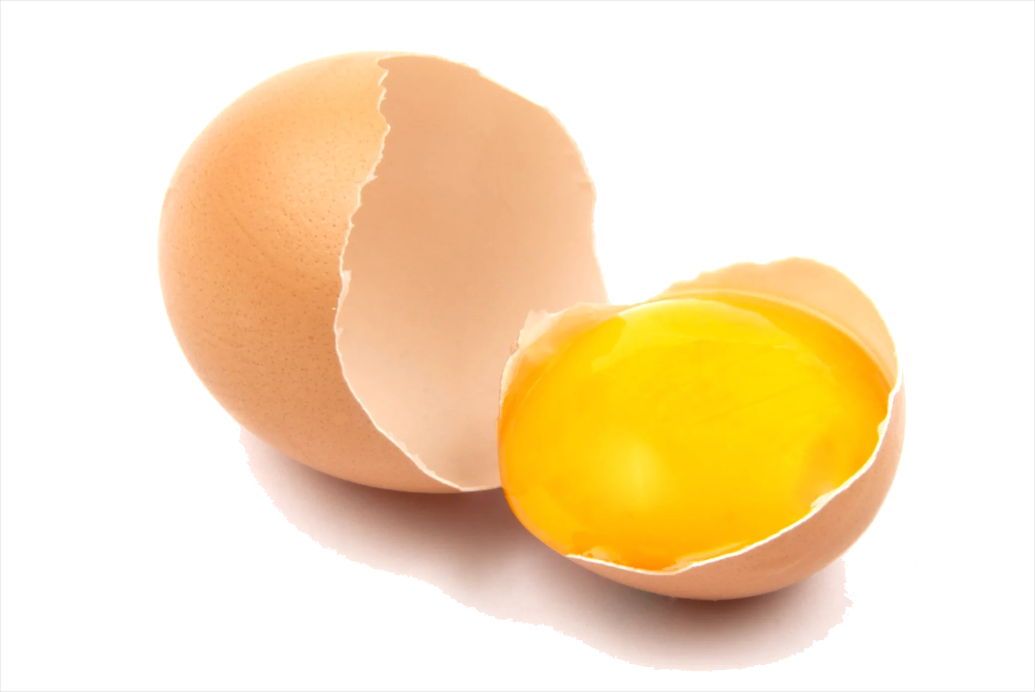 Detail Egg Transparent Png Number 17