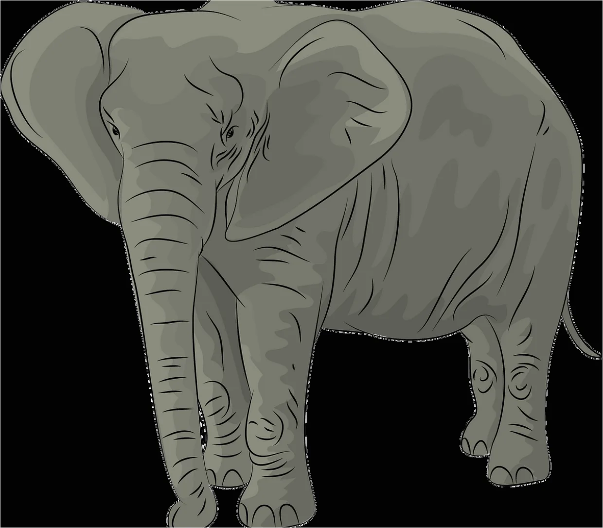 Detail Elephant Transparent Png Clipart Number 13