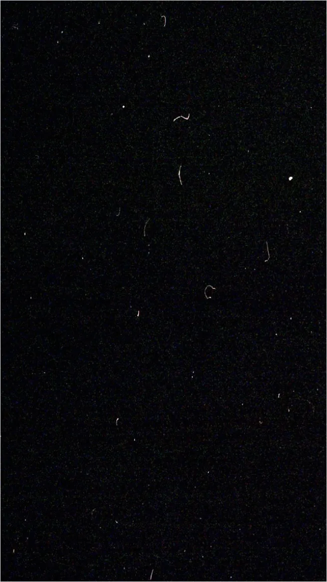 Detail Film Grain Transparent Png Number 3