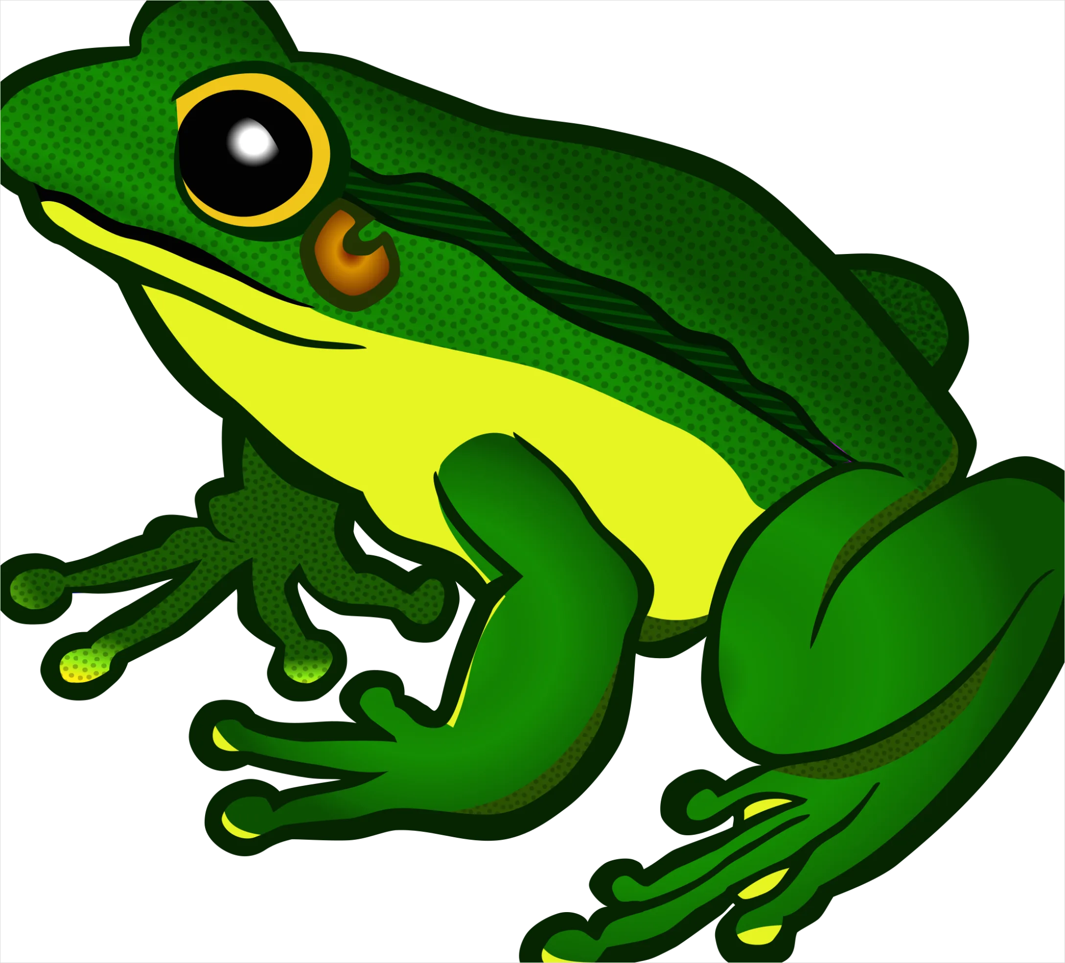 Detail Frog Transparent Png Clipart Number 2