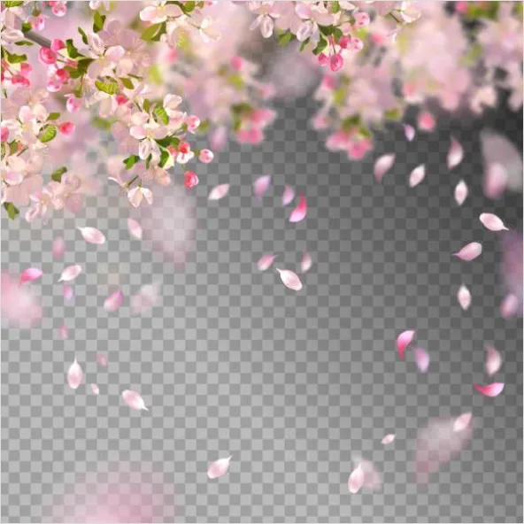 Detail Gradient Shapes Transparent Png Number 9