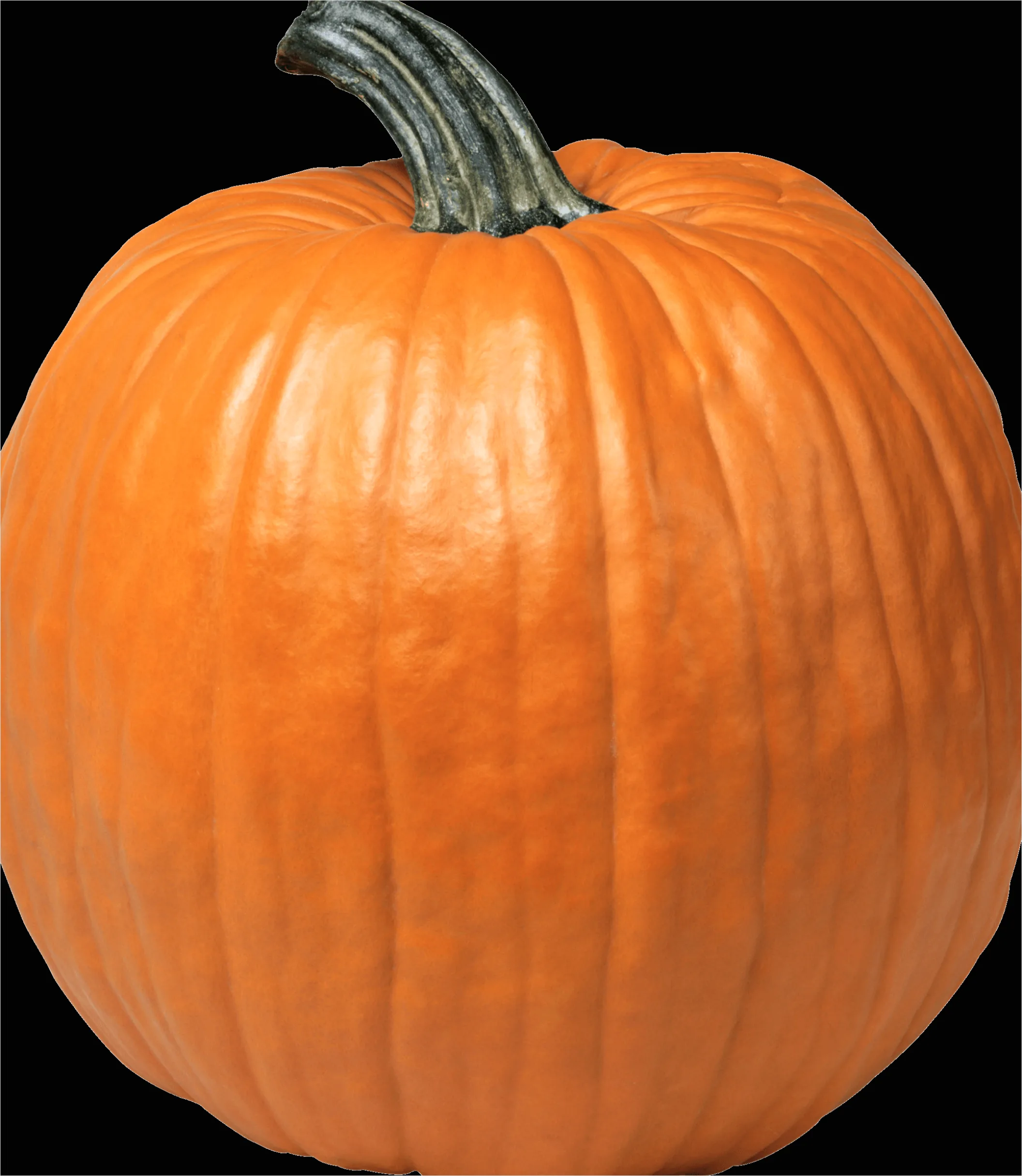 Detail Halloween Pumpkin Transparent Png Number 13