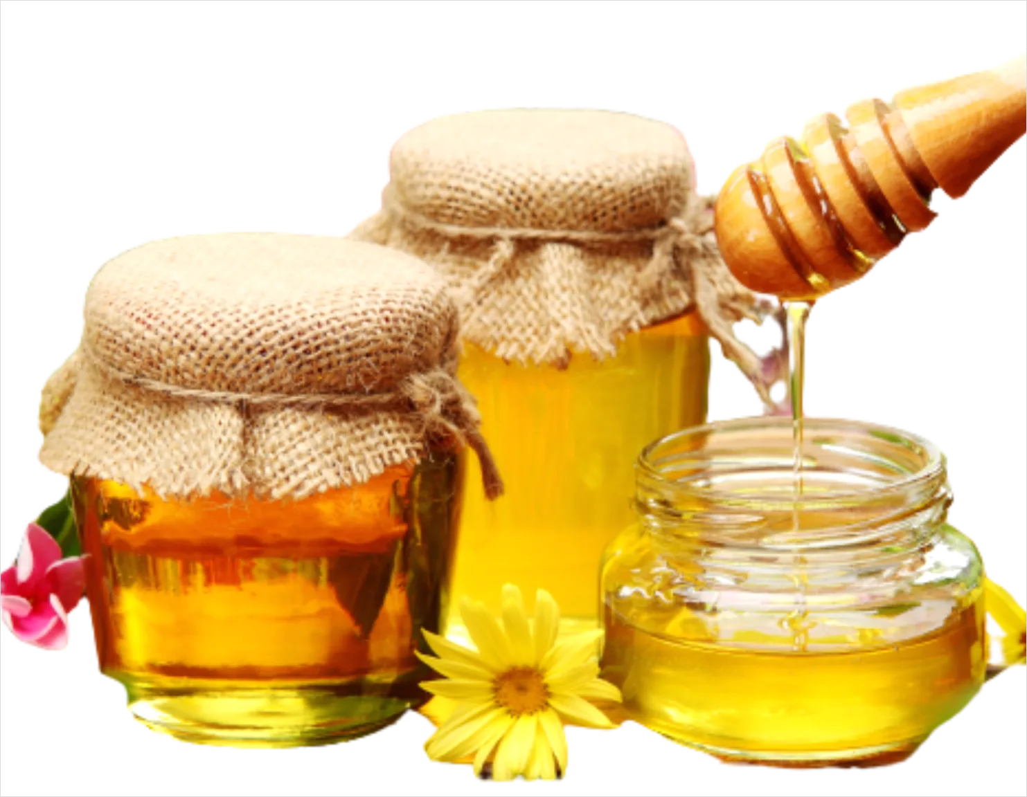 Detail Honey Jar Transparent Png Number 5