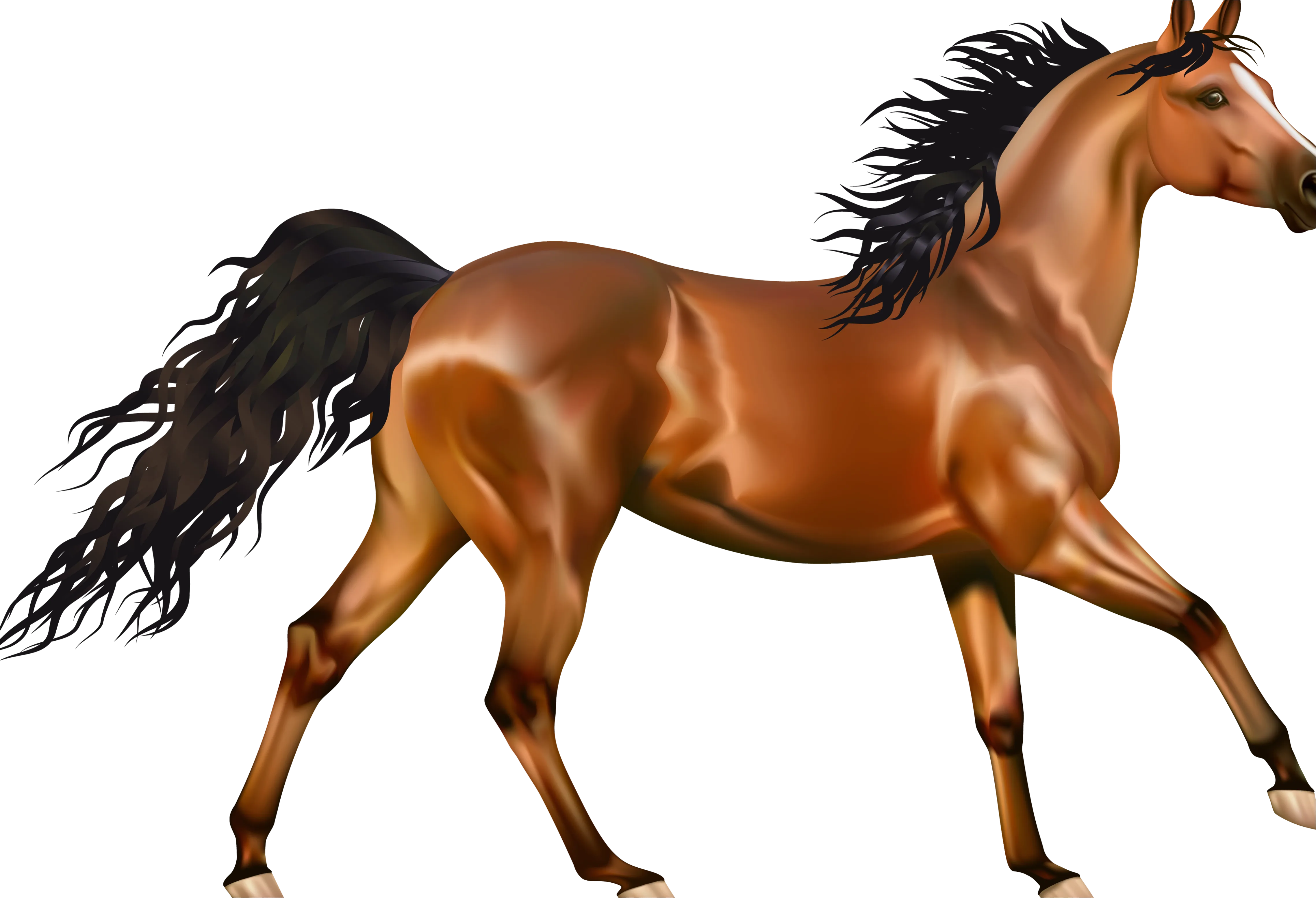 Horse Transparent Png Clipart F688