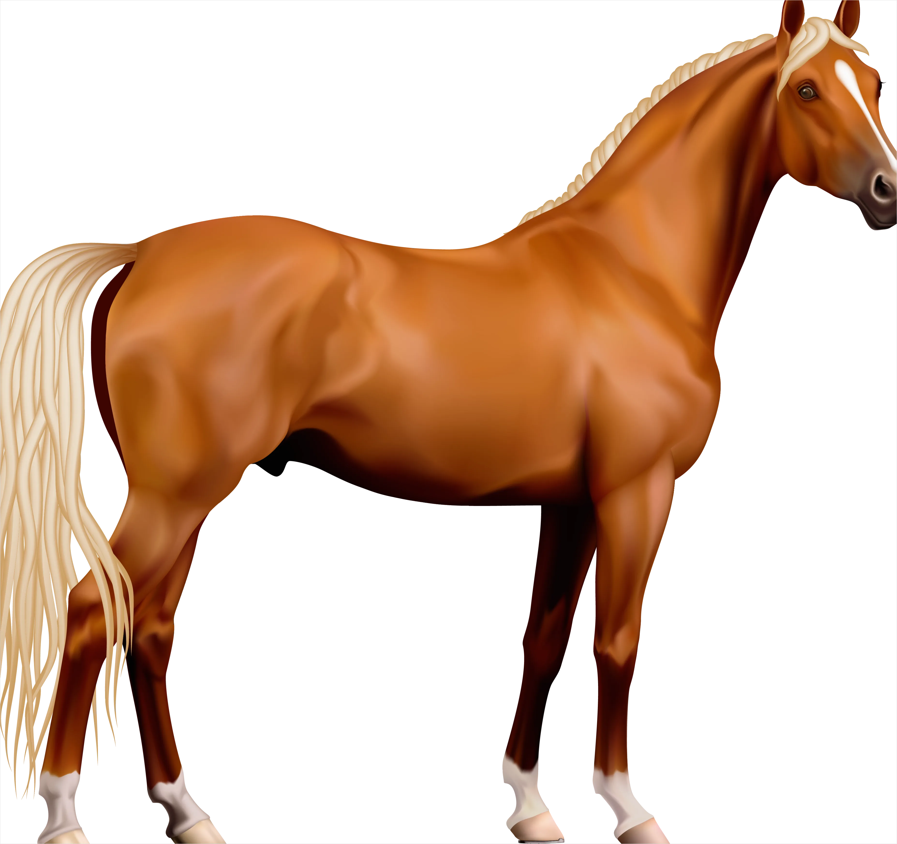 Detail Horse Transparent Png Clipart Number 2