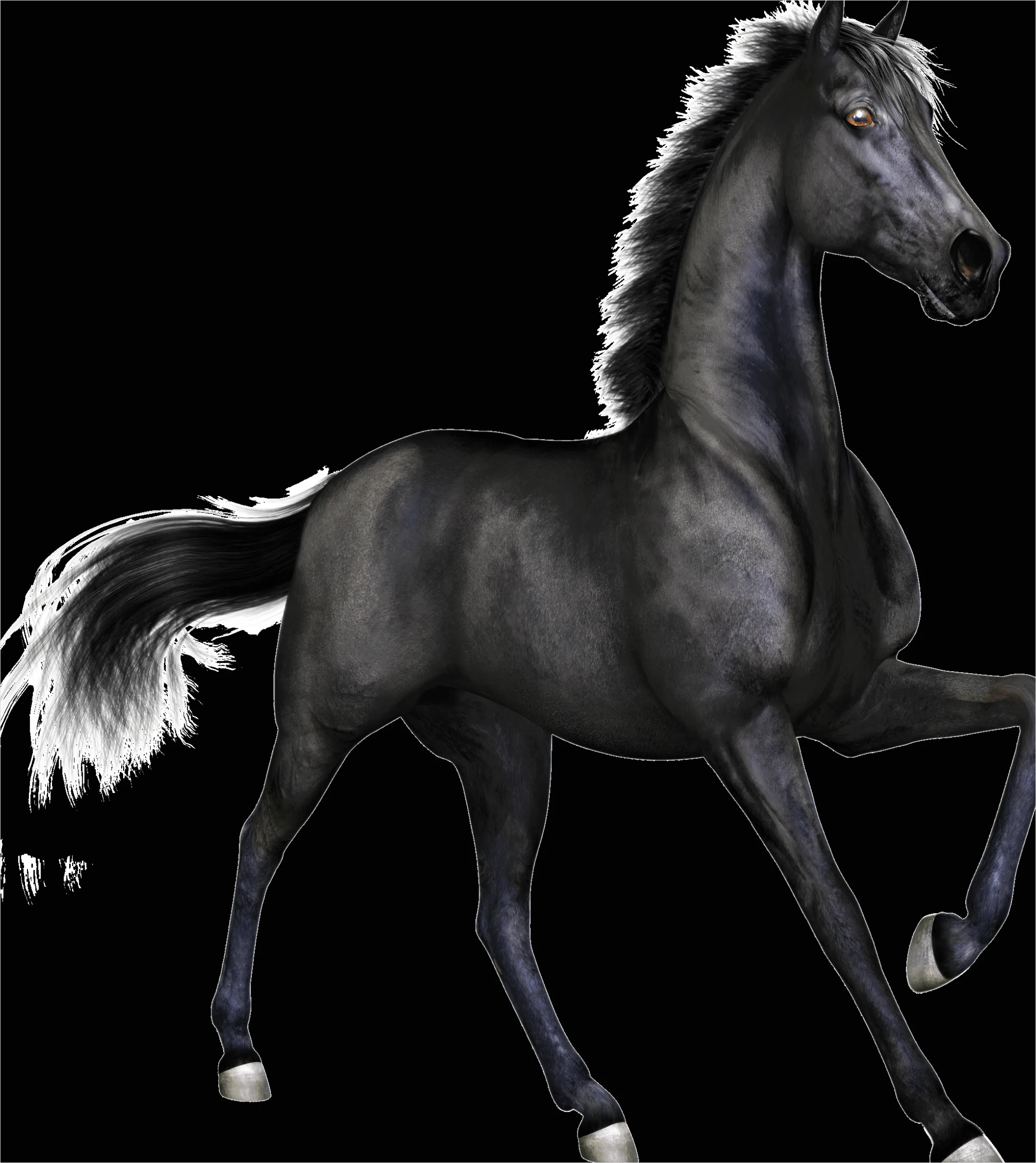 Detail Horse Transparent Png Clipart Number 11