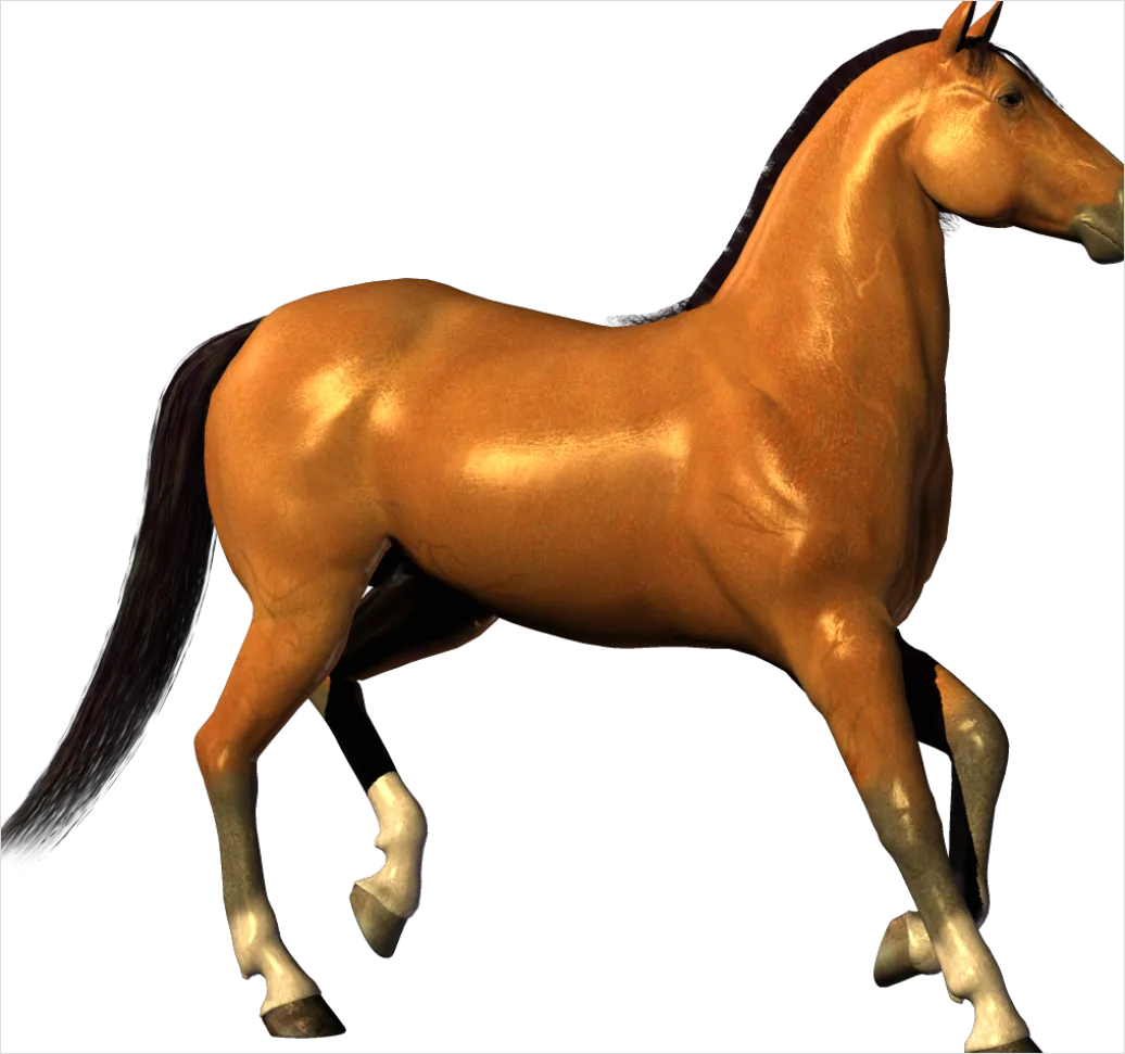 Detail Horse Transparent Png Clipart Number 6