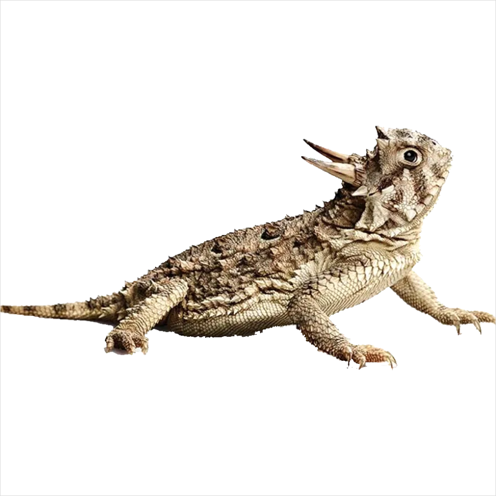 Detail Lizard Transparent Png Clipart Number 16