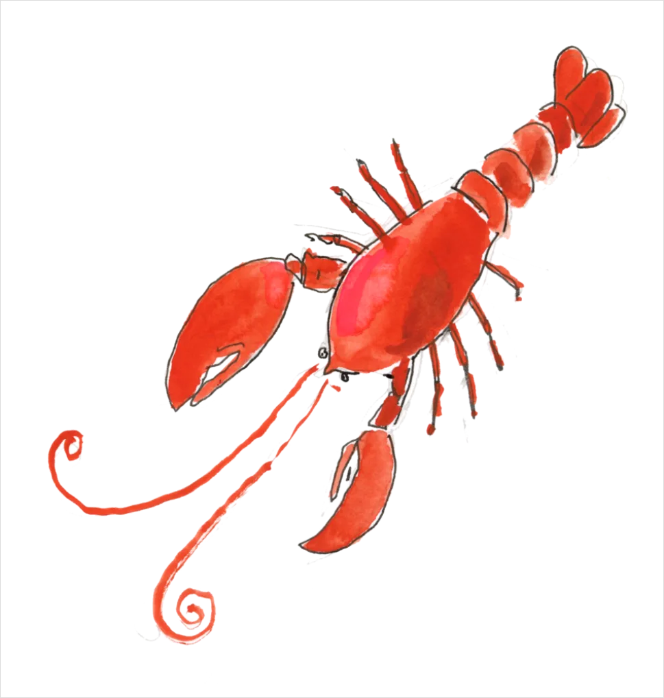 Detail Lobster Transparent Png Clipart Number 13