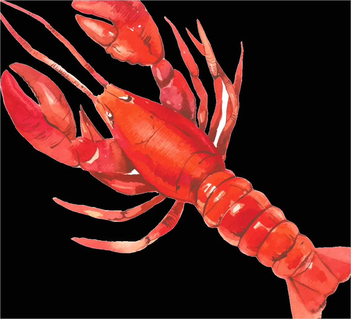 Detail Lobster Transparent Png Clipart Number 3