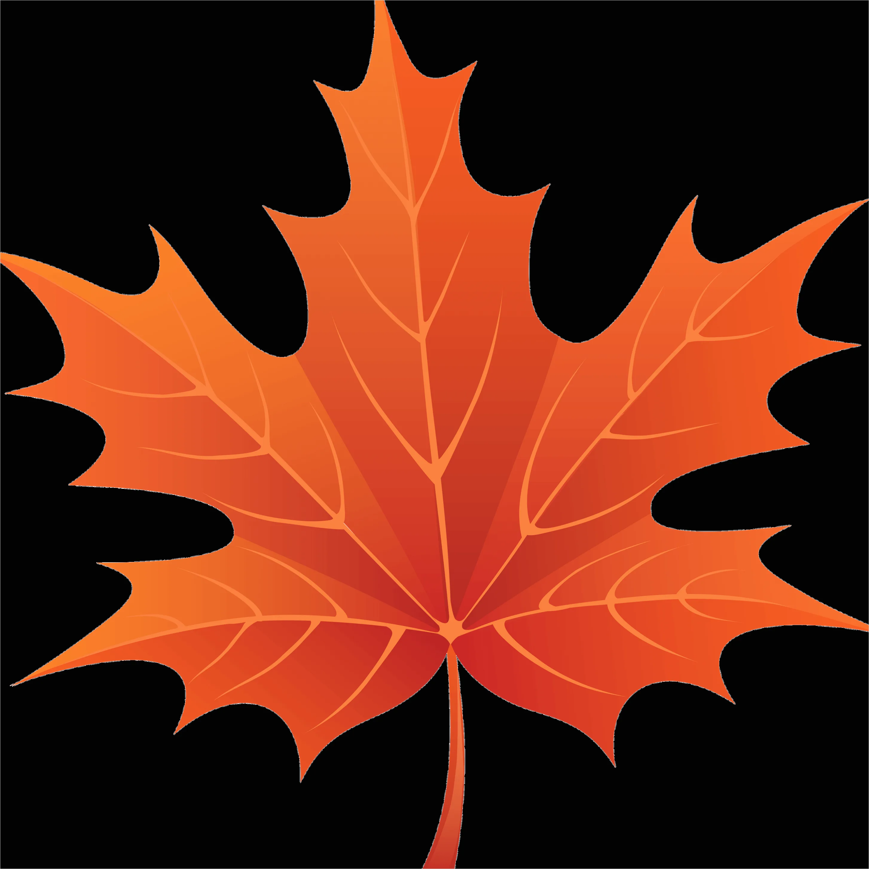 Detail Maple Leaf Transparent Png Number 6